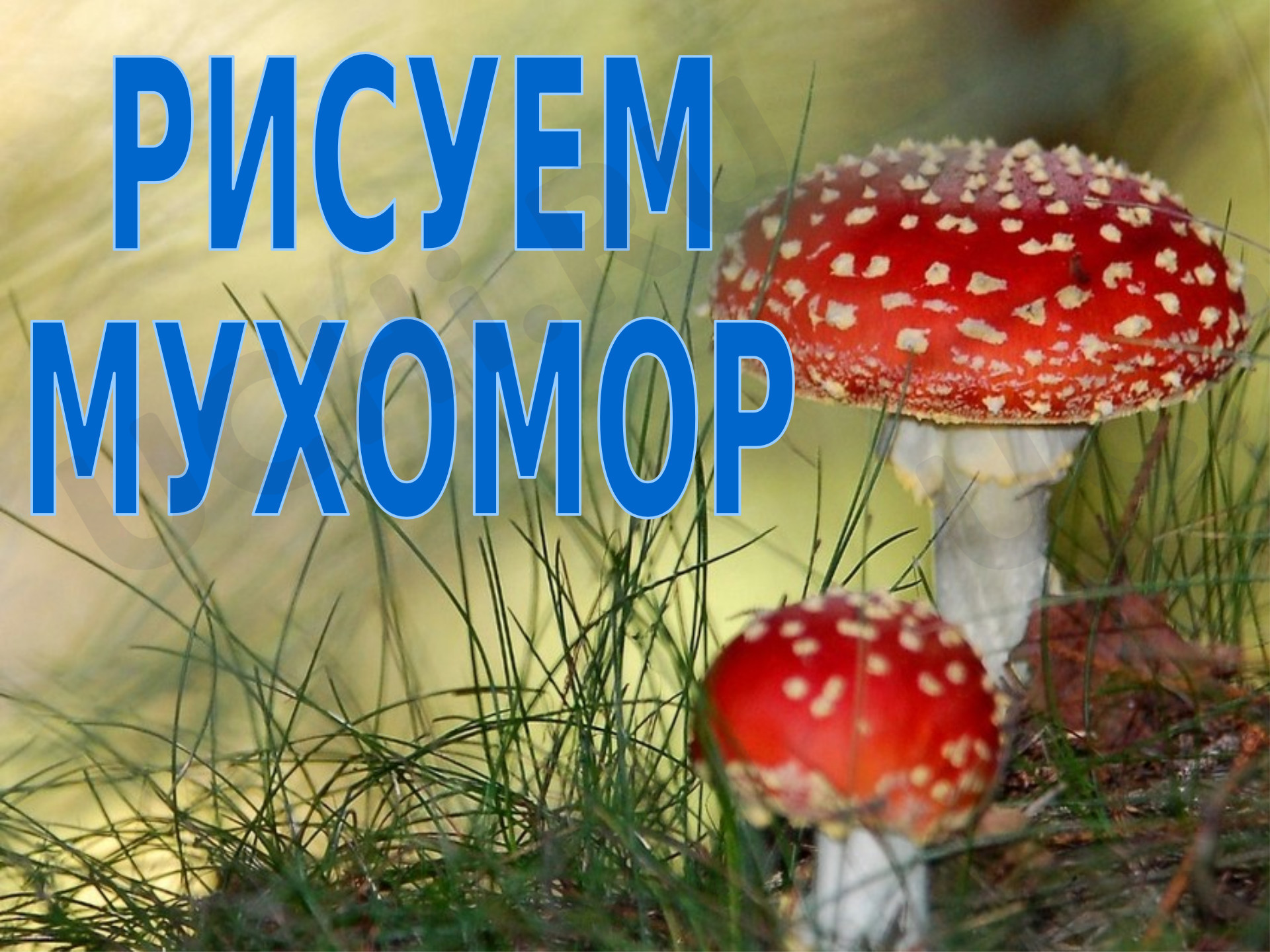 Предпросмотр материала Презентация по изобразительному искусству «Мухомор».