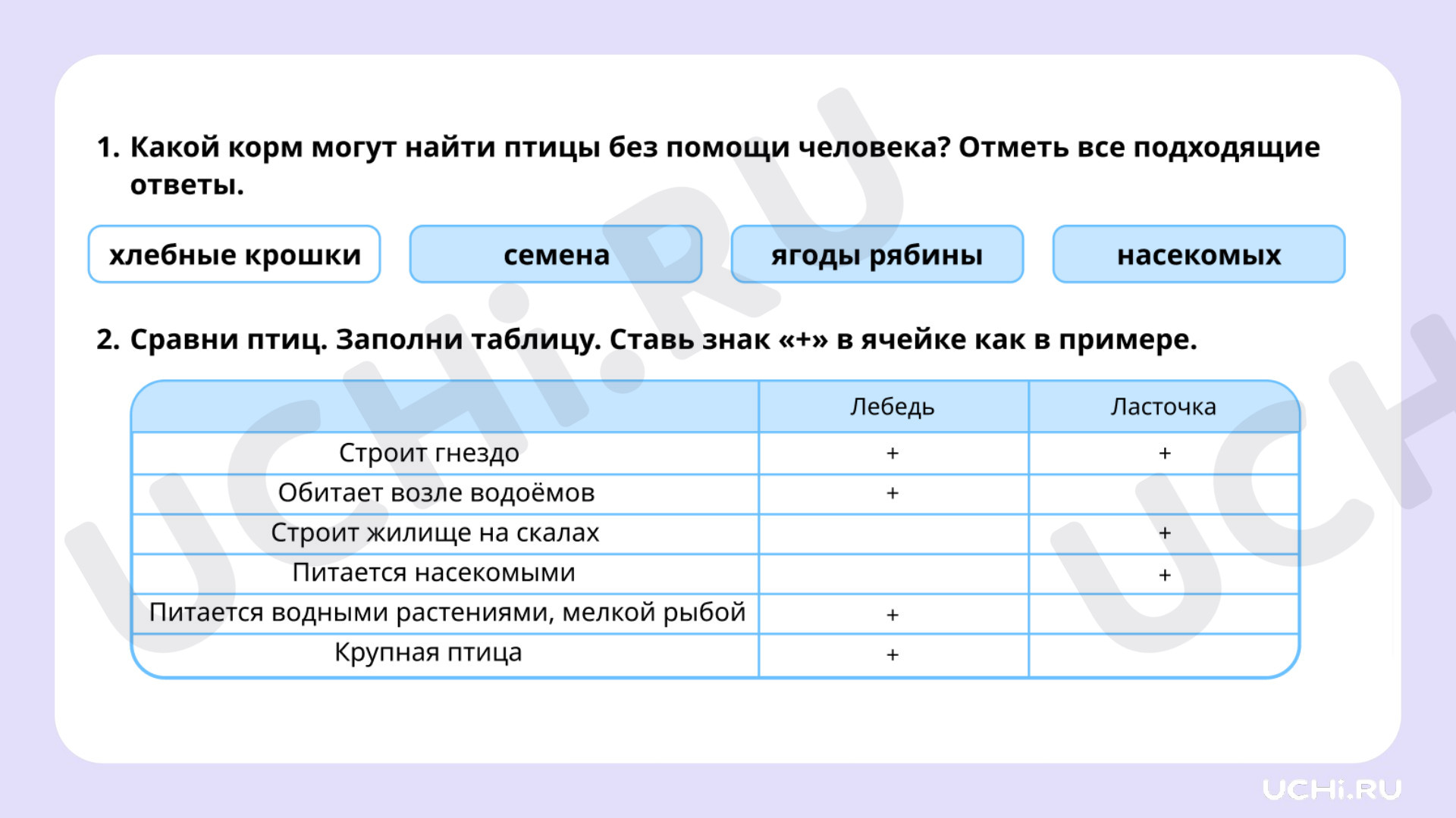 Рабочие листы по теме «Где обитают птицы, чем они питаются. Птицы:  сравнение места обитания, способа питания». Повышенный уровень: Где обитают  птицы, чем они питаются. Птицы: сравнение места обитания, способа питания |  Учи.ру