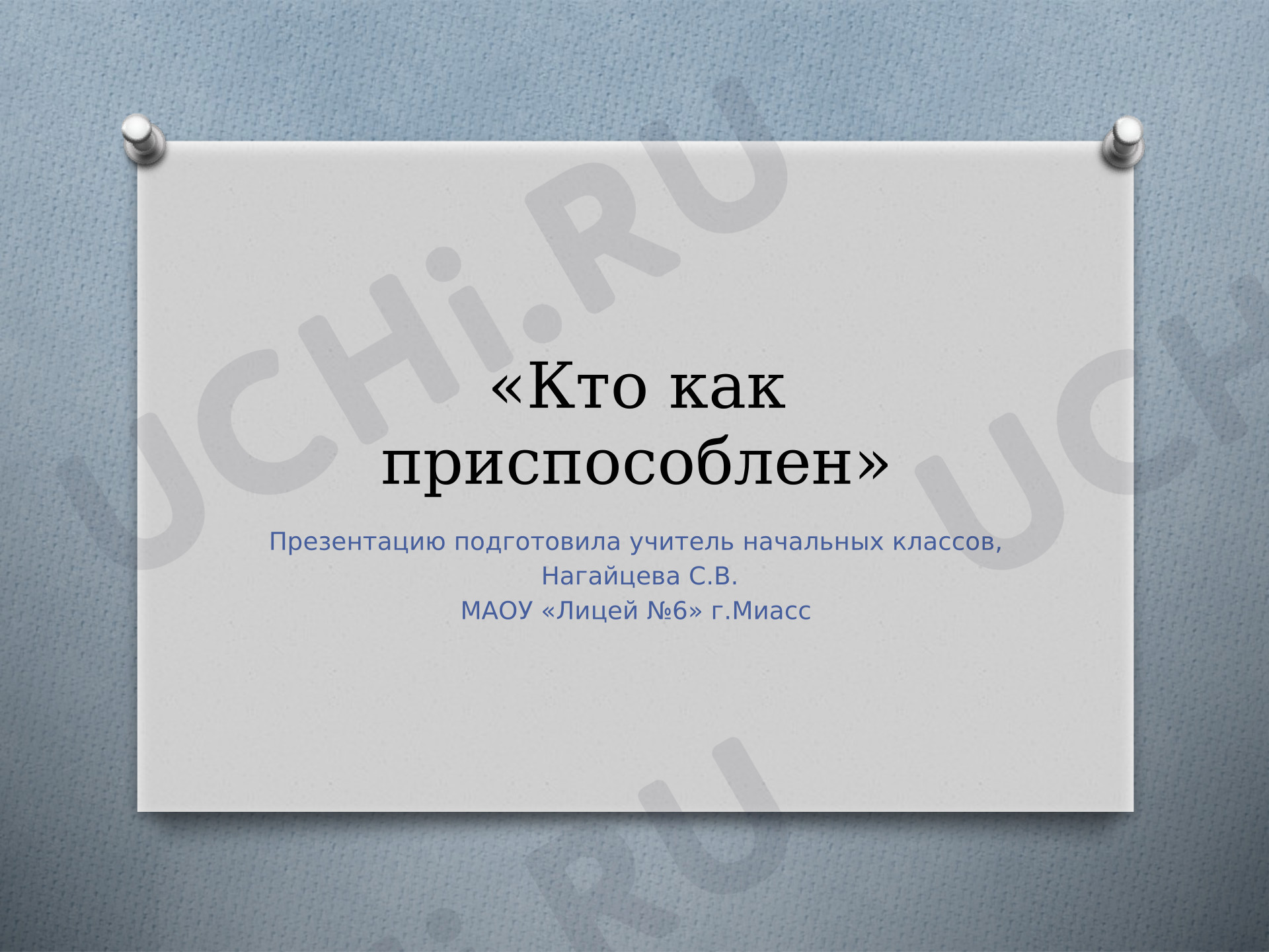 Предпросмотр материала Презентация «Кто как приспособлен»
