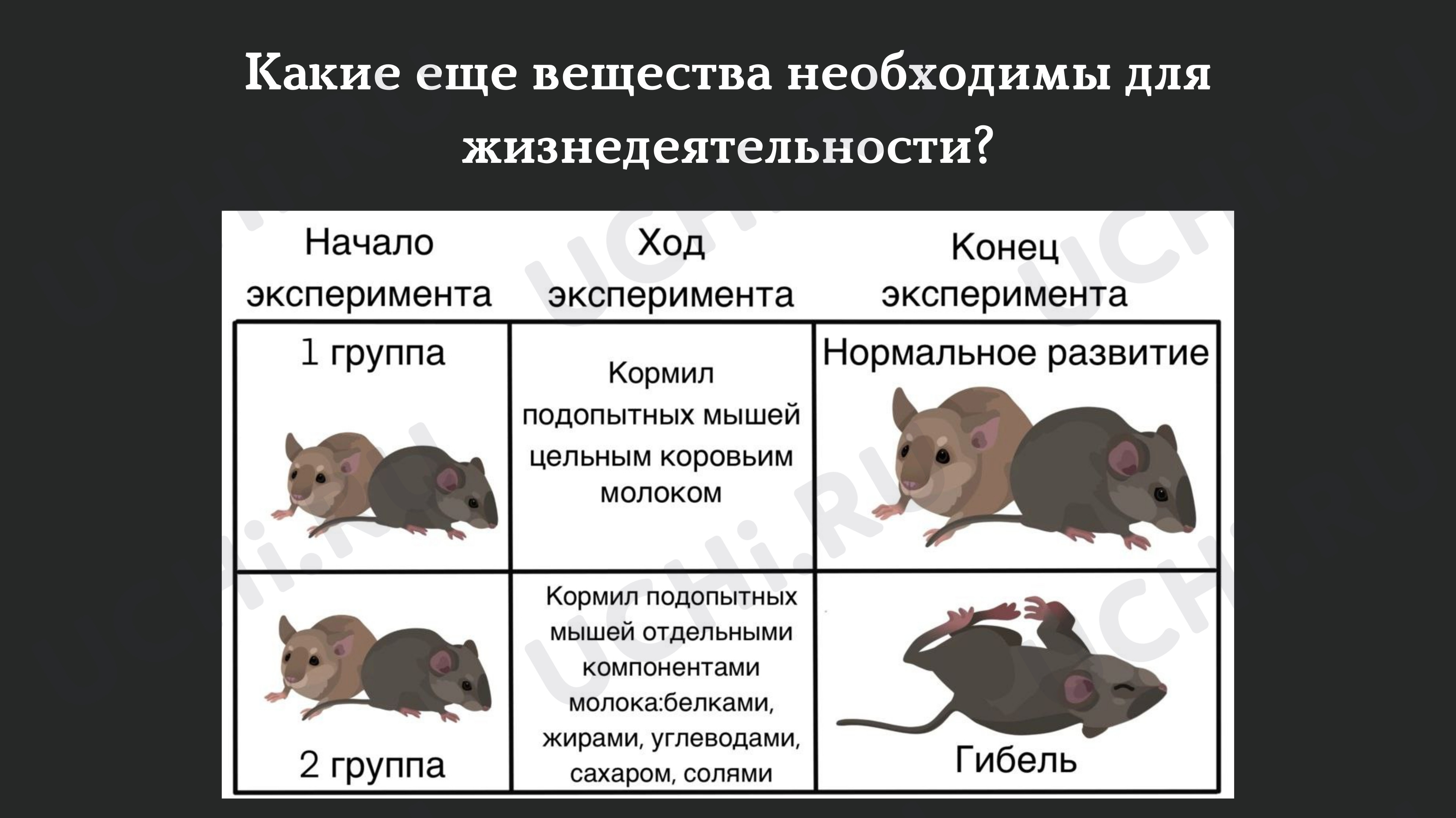 Предпросмотр материала Презентация по теме: Витамины
