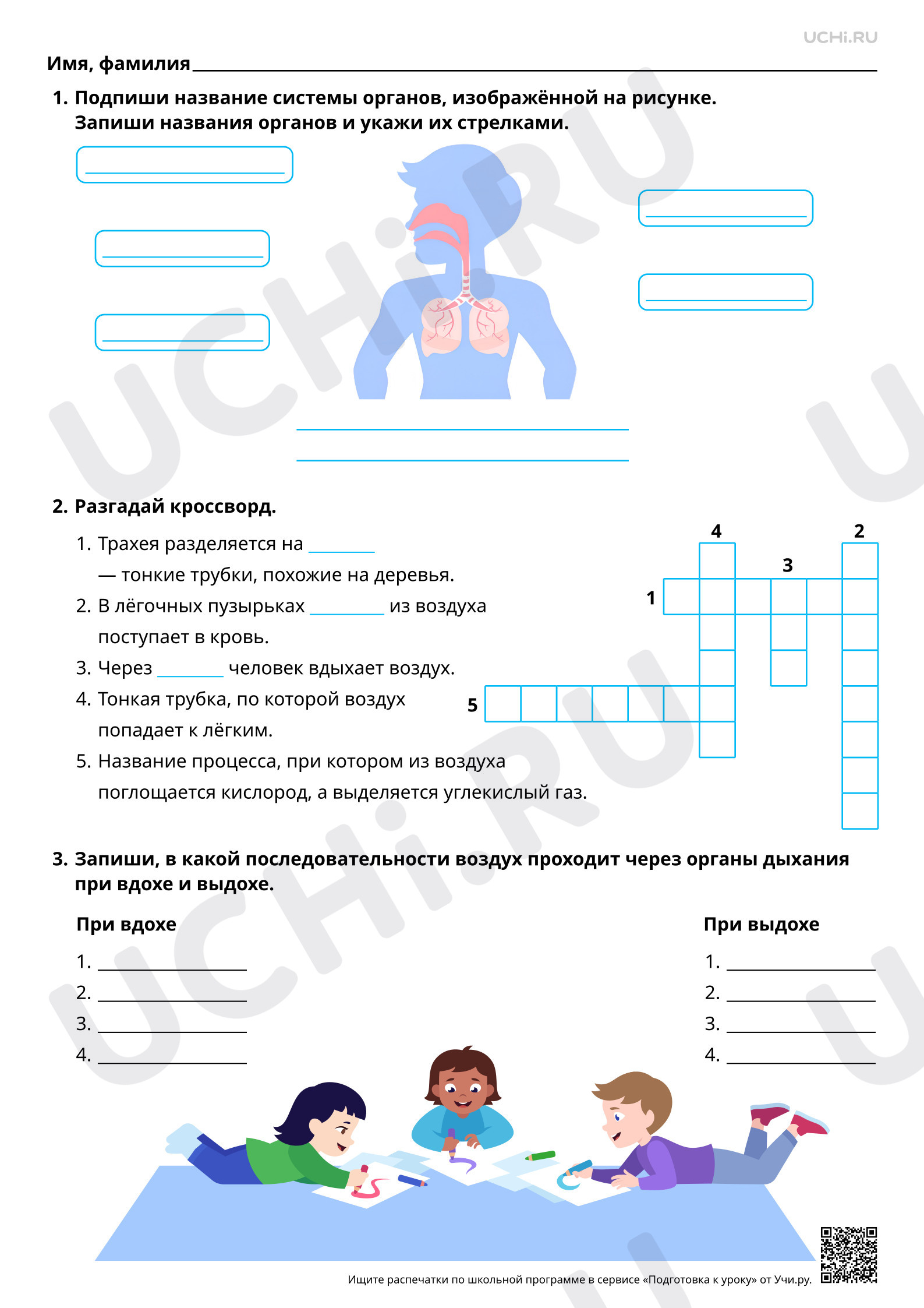 Предпросмотр материала Дыхательная система и её роль в жизни человека. Повышенный уровень