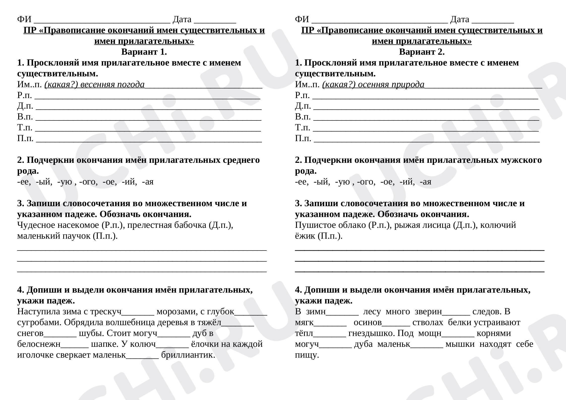 Предпросмотр материала Проверочная работа по русскому языку  «Правописание окончаний имен существительных и имен прилагательных»