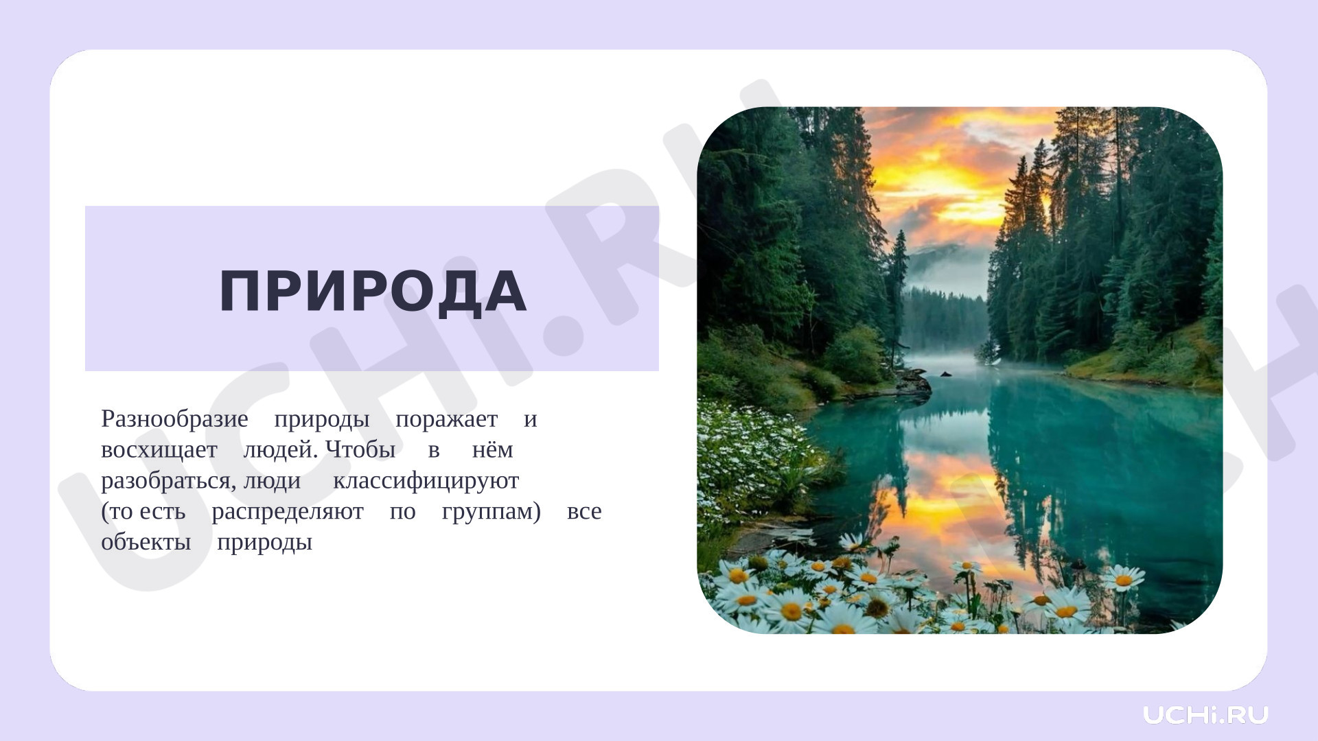 Предпросмотр материала Презентация к уроку окружающего мира. Природа.