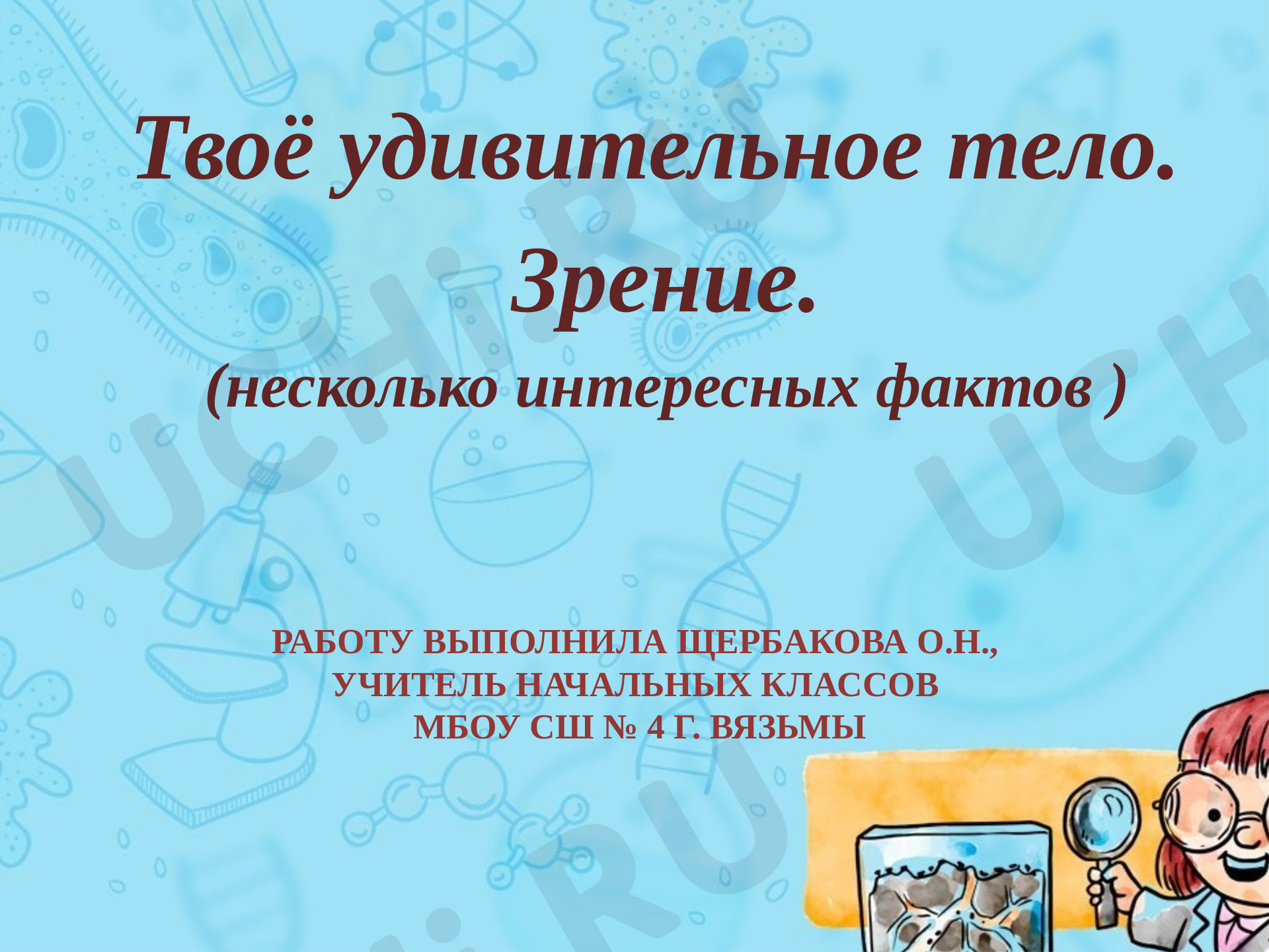 Предпросмотр материала Зрение