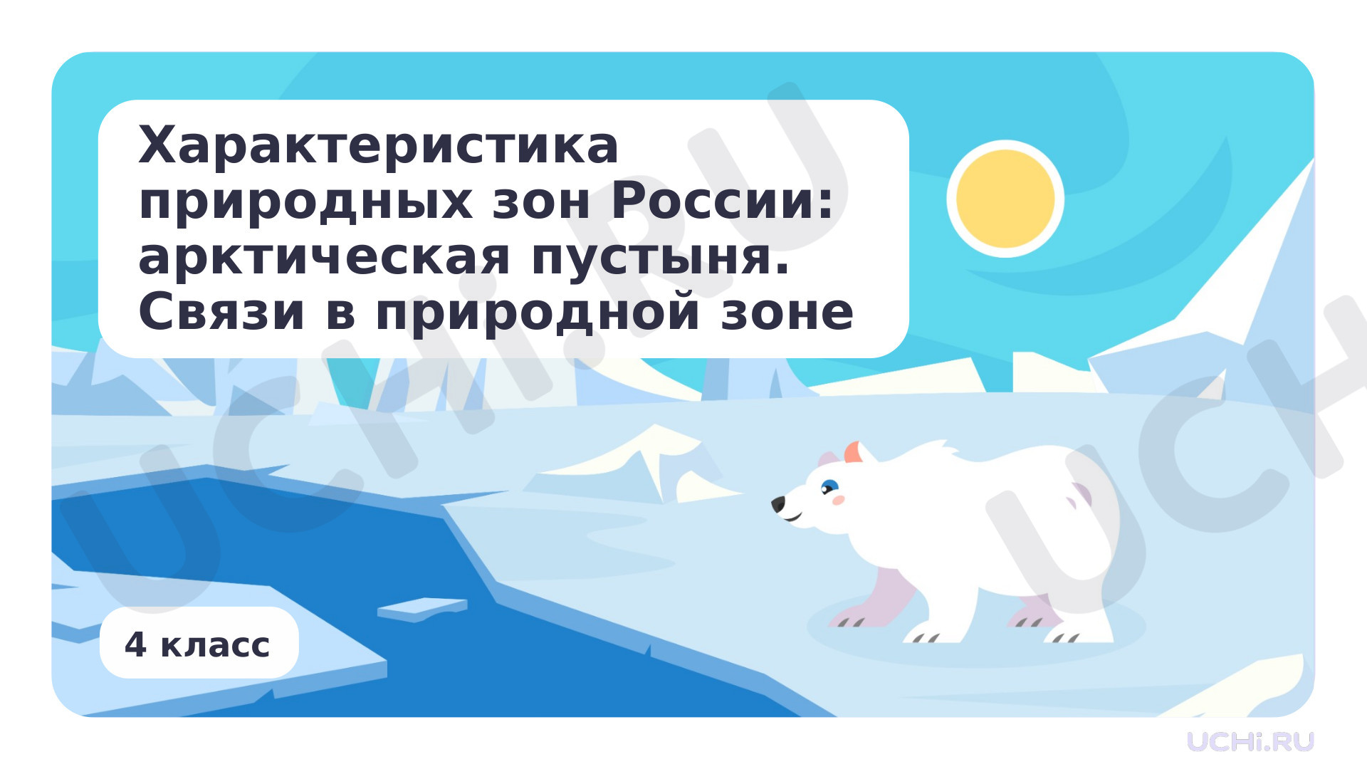 Предпросмотр материала Характеристика природных зон России: арктическая пустыня. Связи в природной зоне