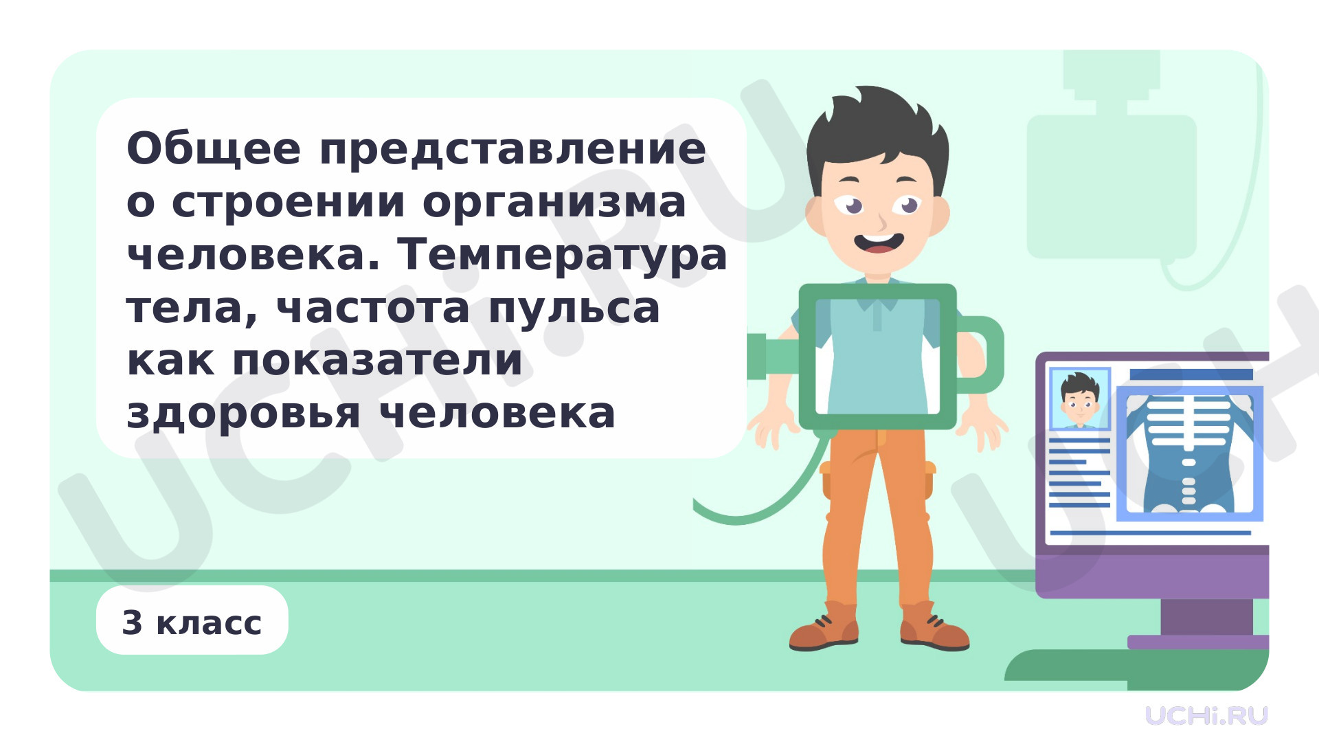 Предпросмотр материала Общее представление о строении организма человека