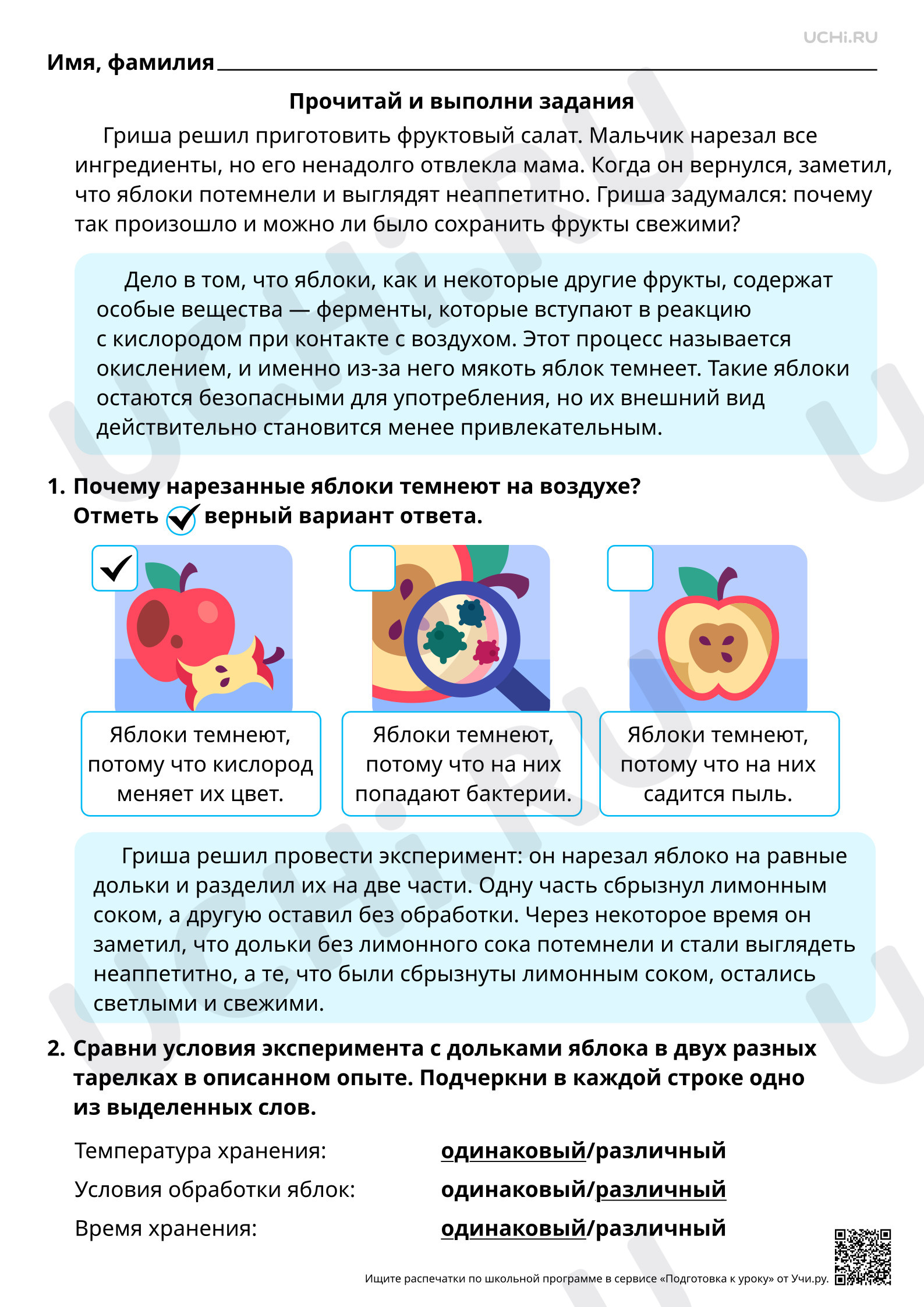 Предпросмотр материала Естественно-научная грамотность. Проводим эксперимент с яблоком. Ответы