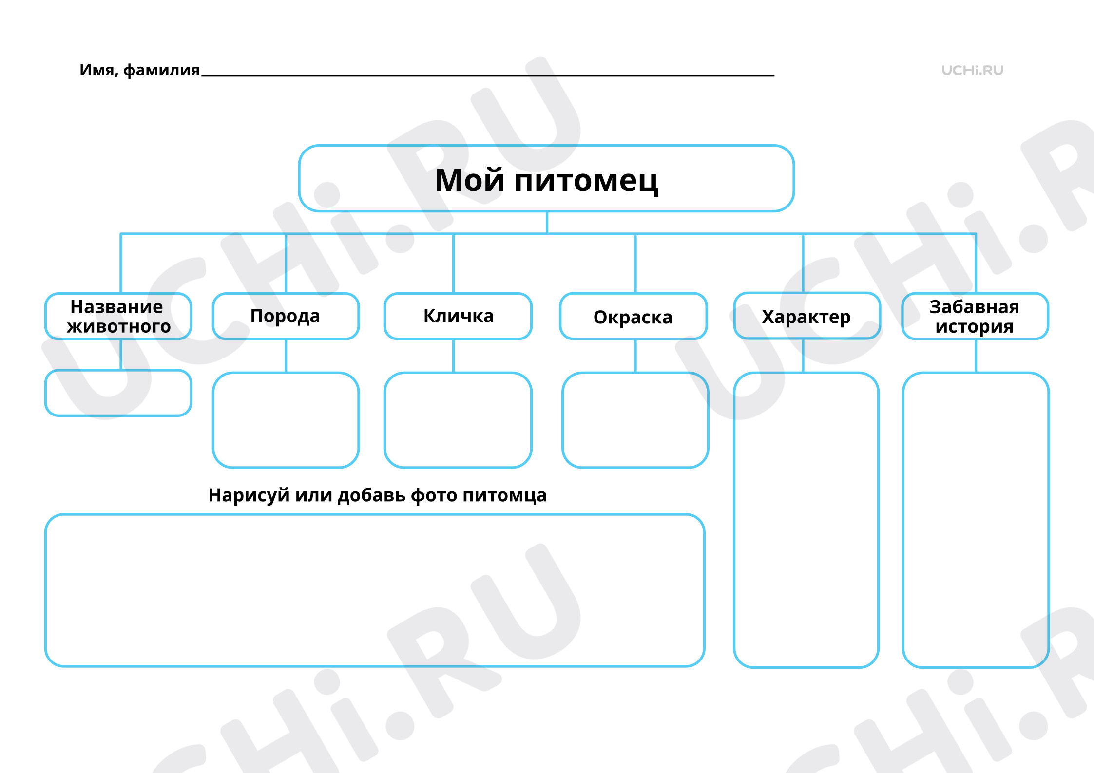 Рабочие листы по теме «Мир животных. Почему мы любим кошек и собак?».  Повышенный уровень: Мир животных. Почему мы любим кошек и собак? | Учи.ру