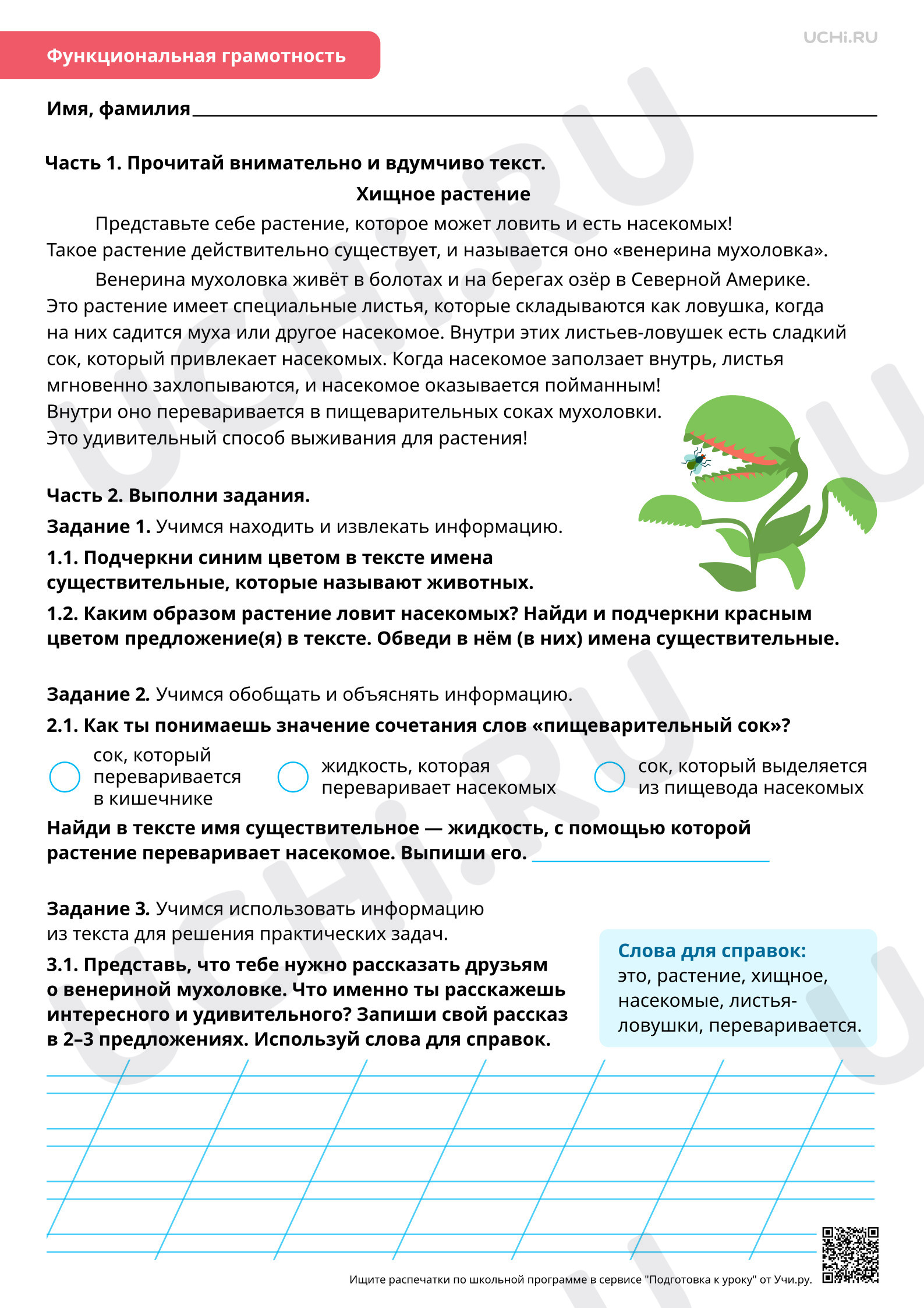 Предпросмотр материала Морфология: роль имён существительных в тексте. Базовый уровень