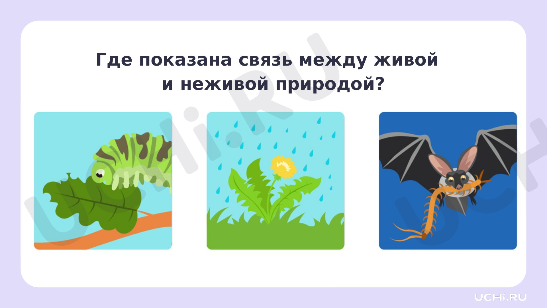 Рисунок живой и неживой природы