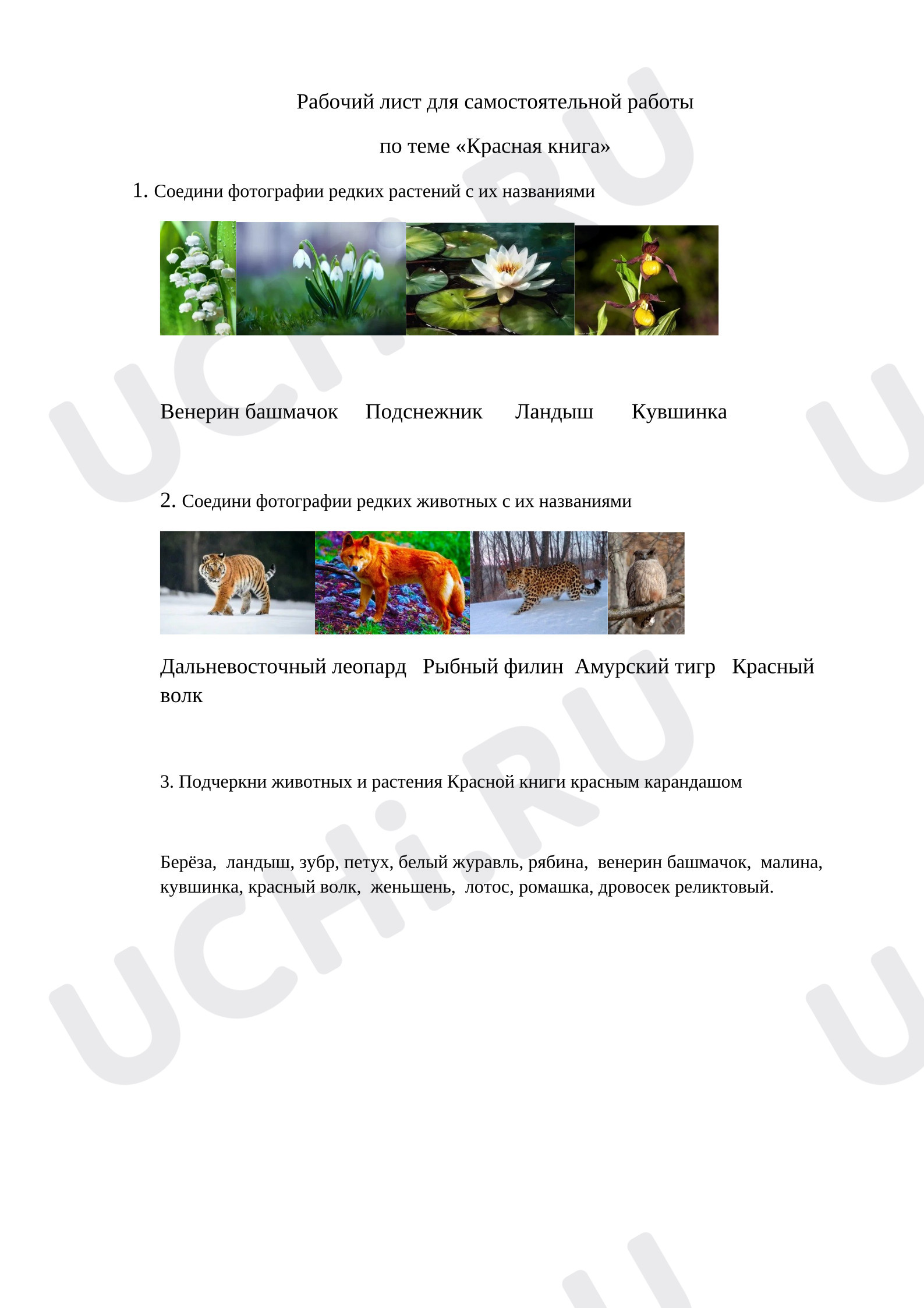 Предпросмотр материала Самостоятельная работа к уроку окружающего мира. Красная книга.