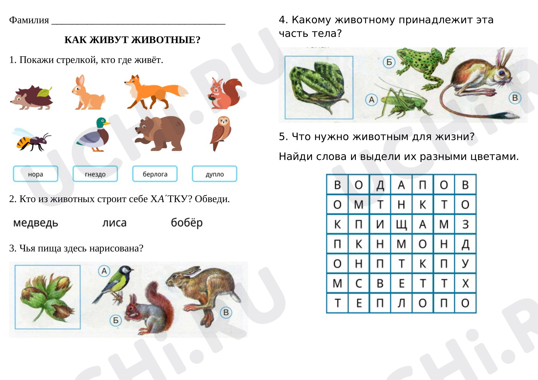 Предпросмотр материала Как живут животные?
