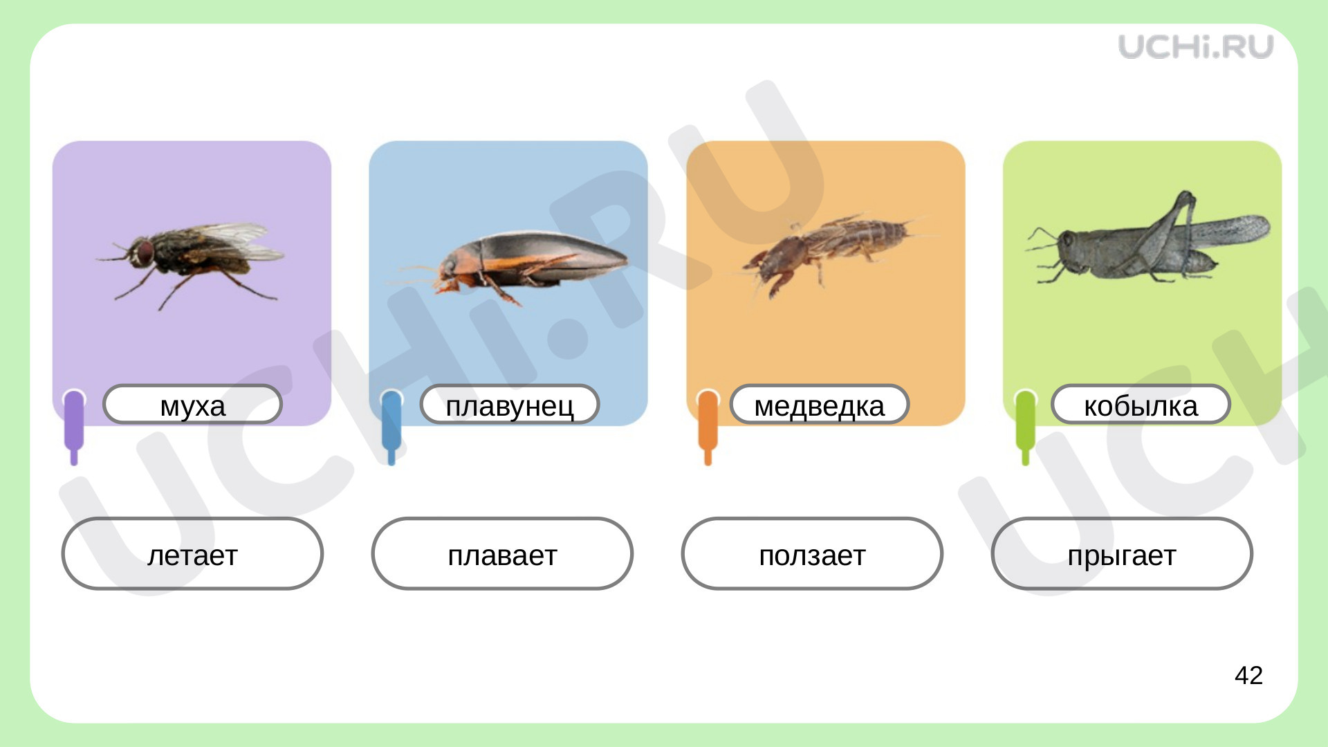 Материалы для урока по теме Кто такие насекомые?, Окружающий мир, 1 класс