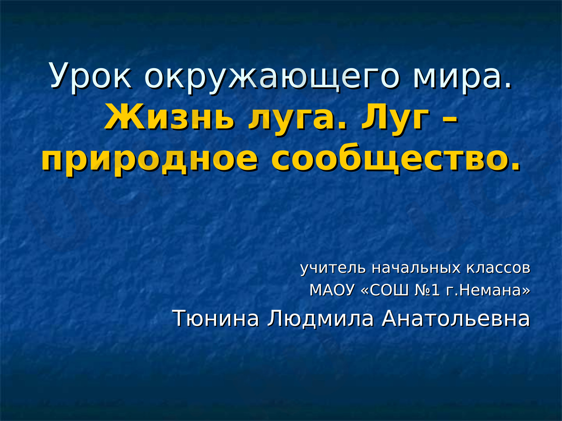 Предпросмотр материала Жизнь луга. Природное сообщество