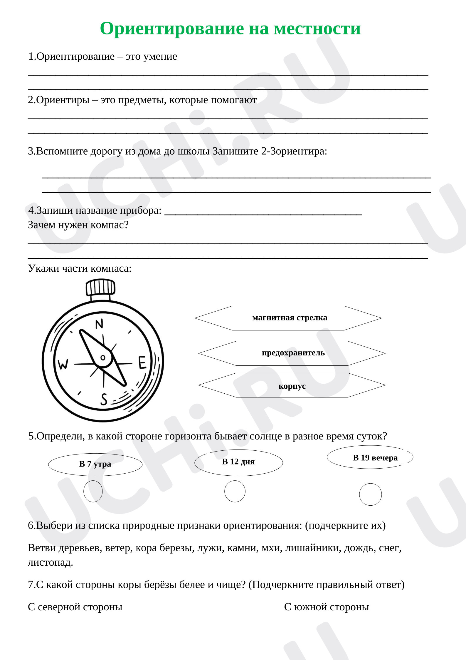 Предпросмотр материала Проверочная работа по окружающему миру по теме: Ориентирование на местности.