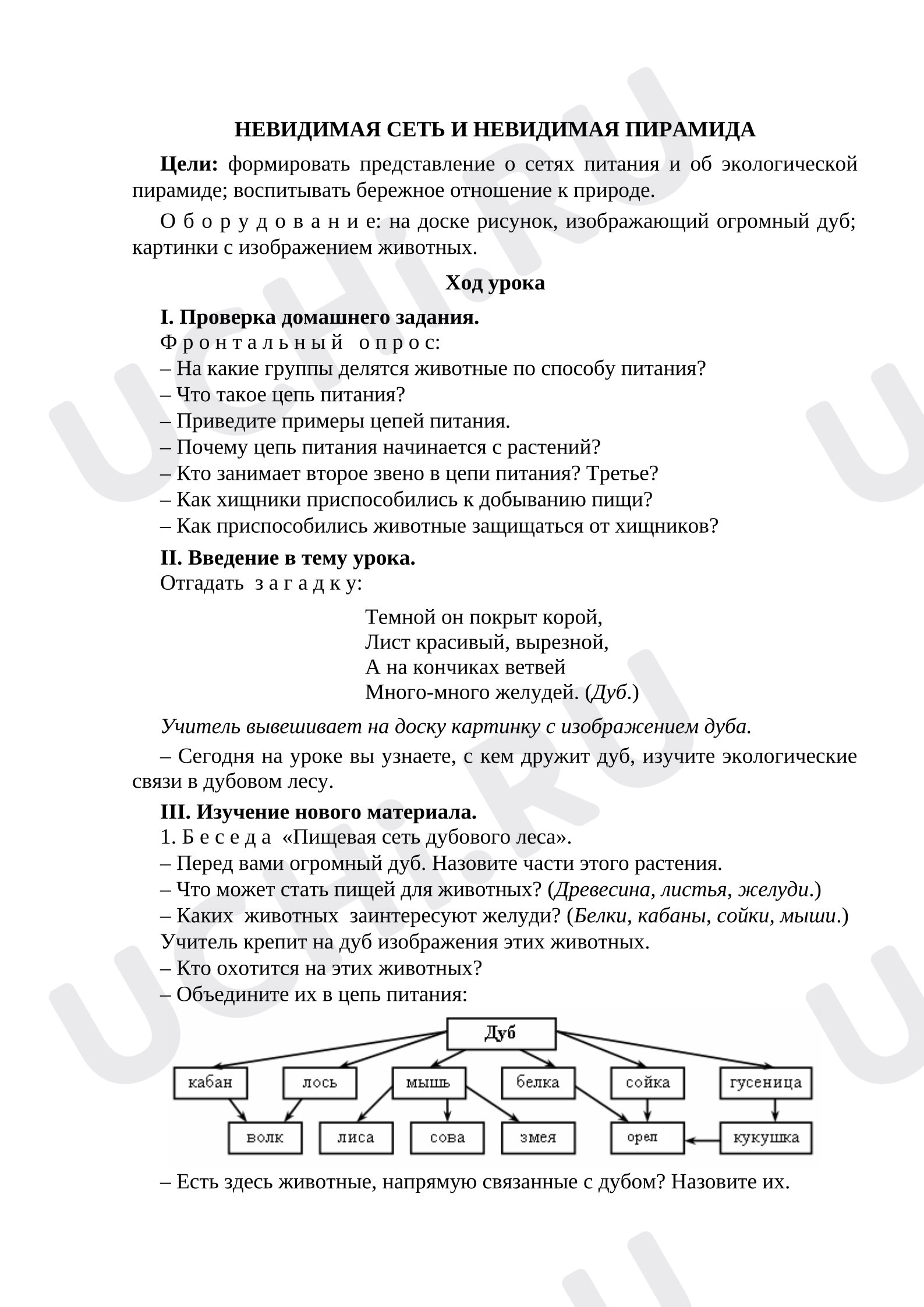 Предпросмотр материала План урок окружающего мира на тему «Невидимая сеть и невидимая пирамида»