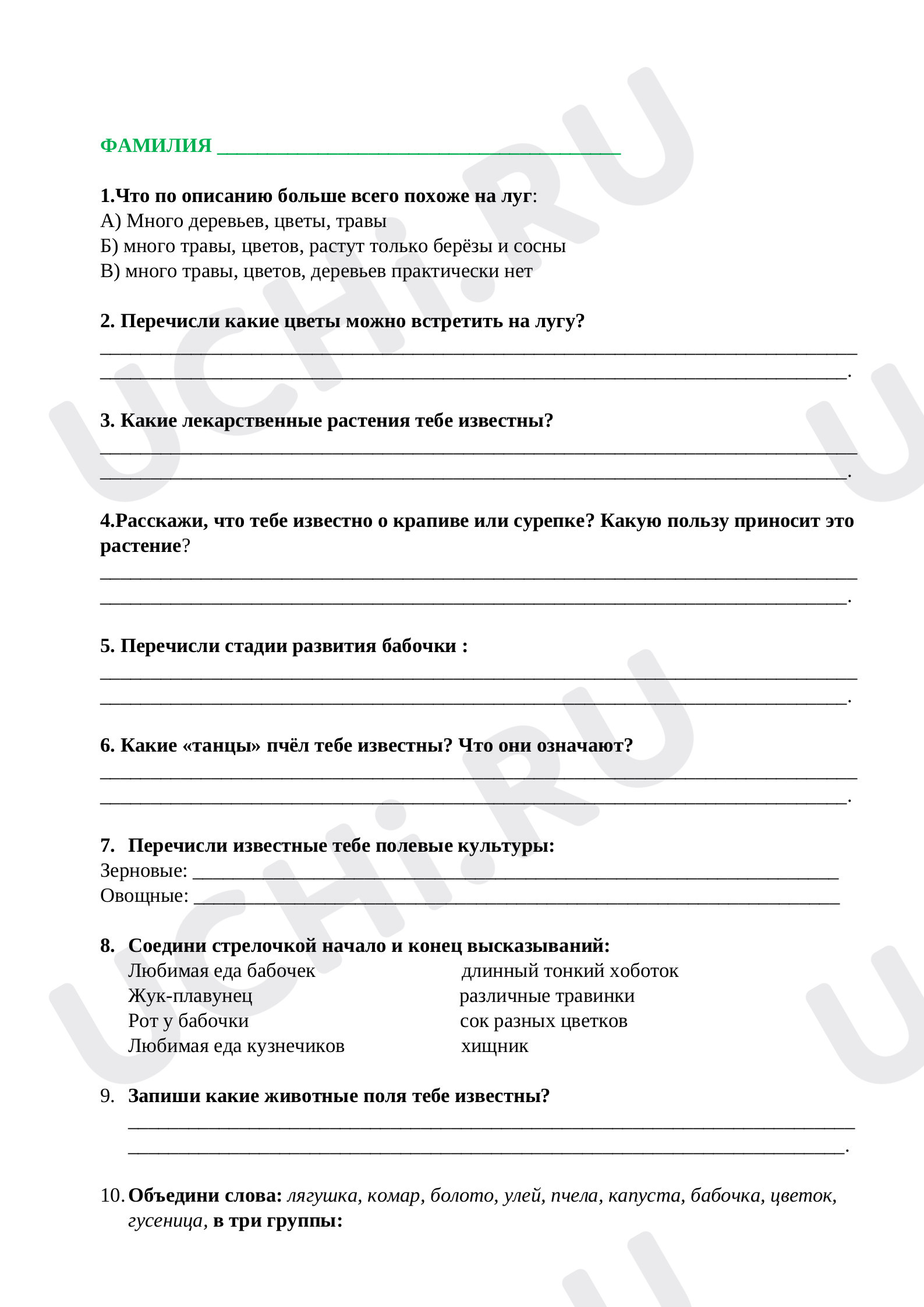 Предпросмотр материала Контрольная работа «Луг и его жители».