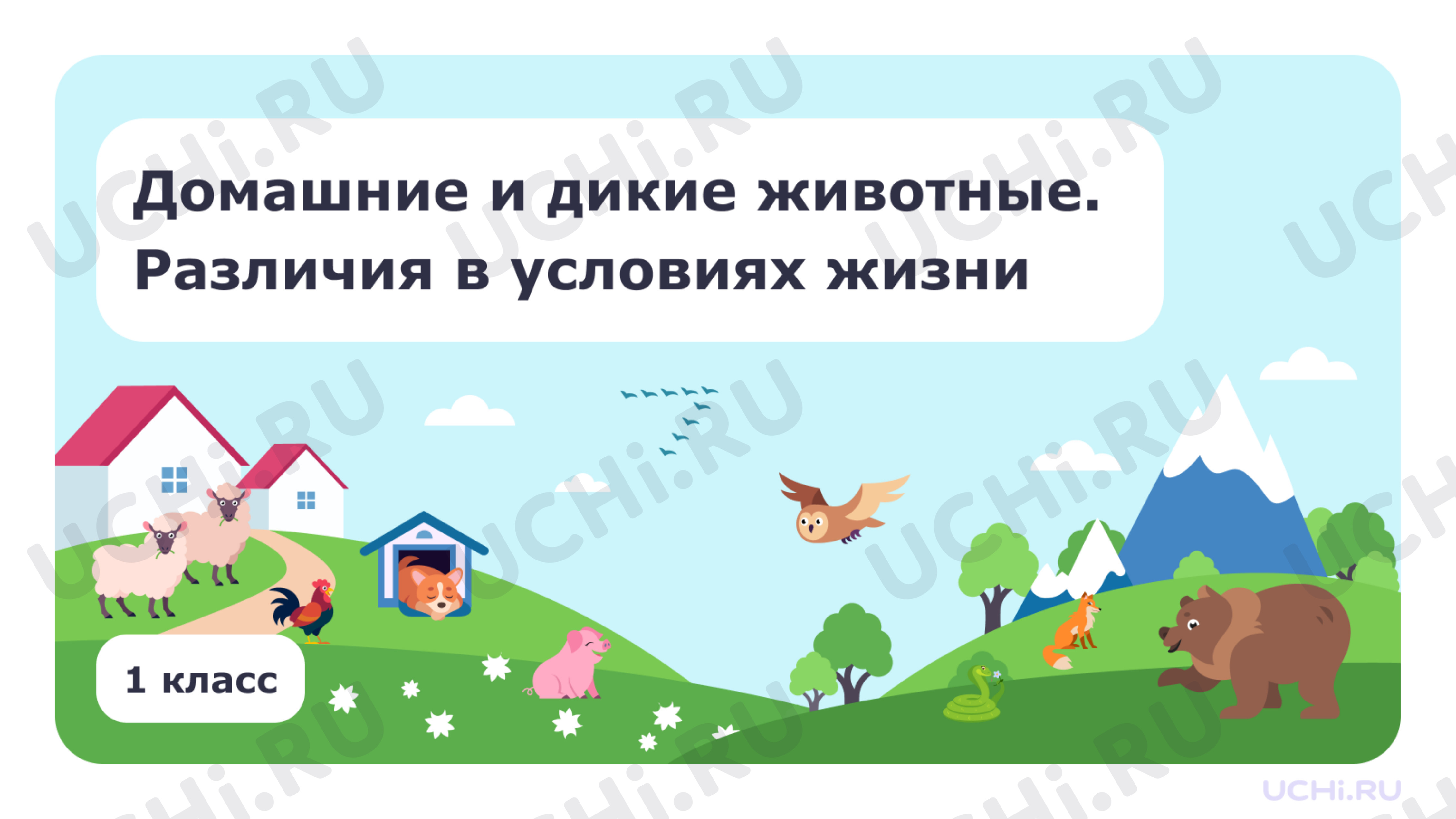 Предпросмотр материала Домашние и дикие животные. Различия в условиях жизни