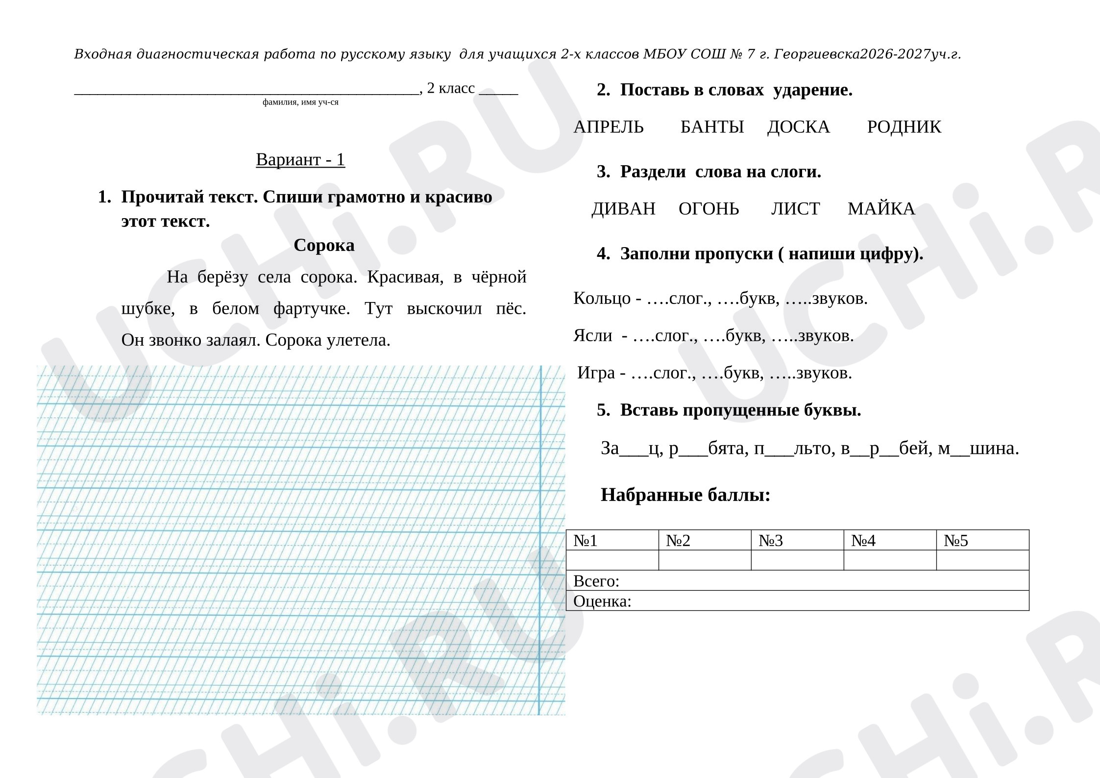 Предпросмотр материала Входная работа по русский язык