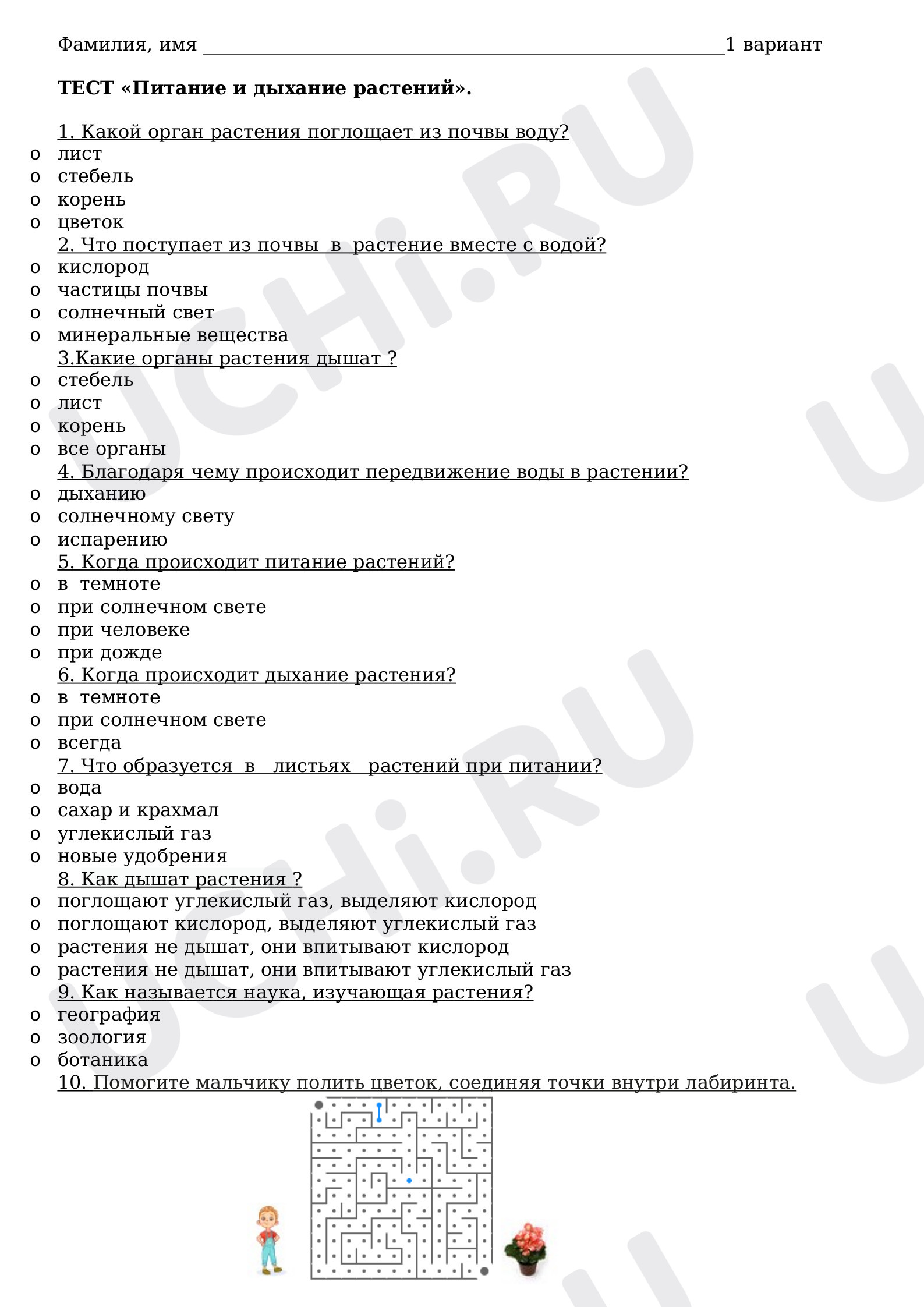 Предпросмотр материала Тест. Дыхание и питание растений.