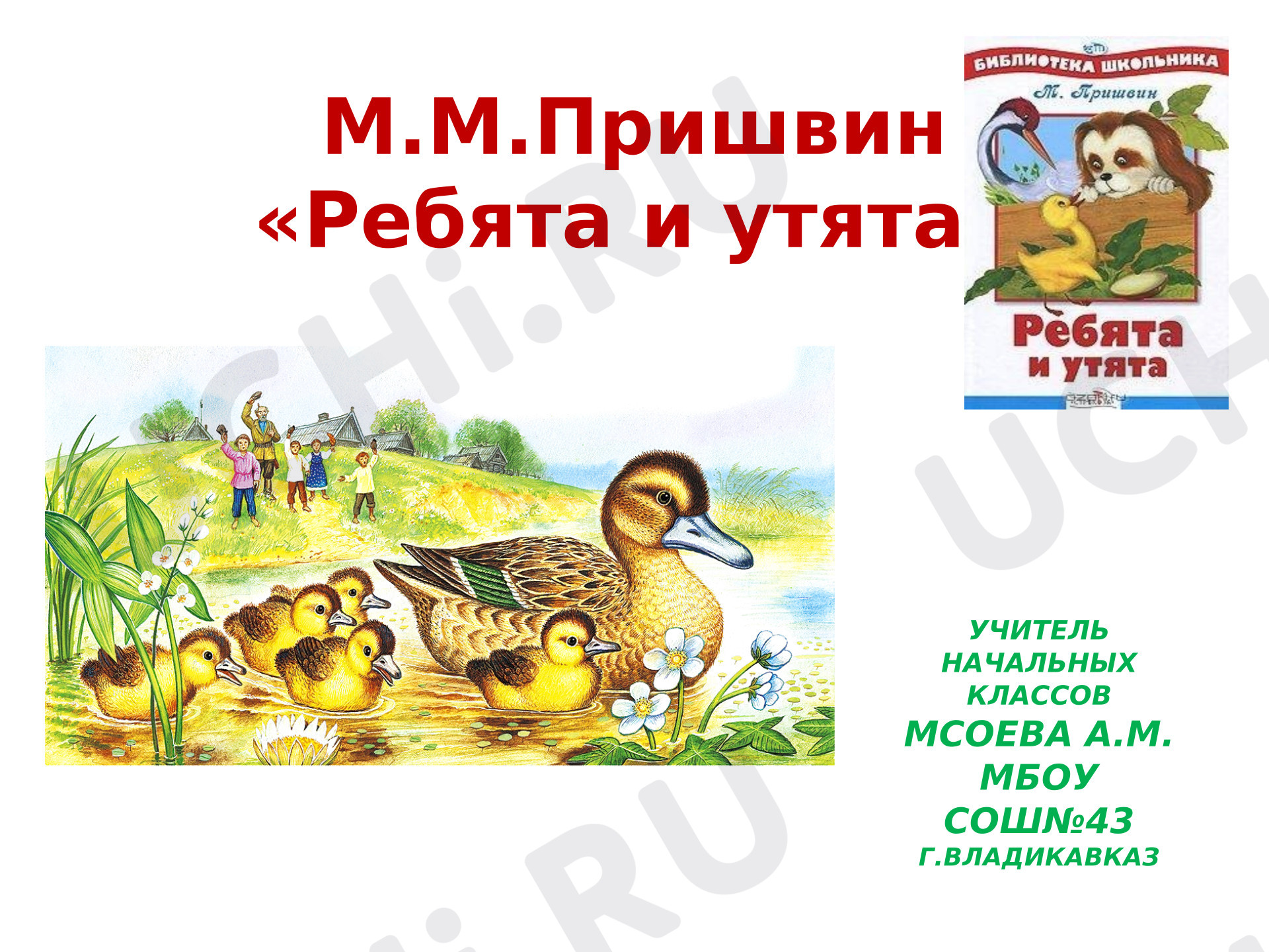 Предпросмотр материала Презентация к уроку литературного чтения. М.М.Пришвин«Ребята и утята».