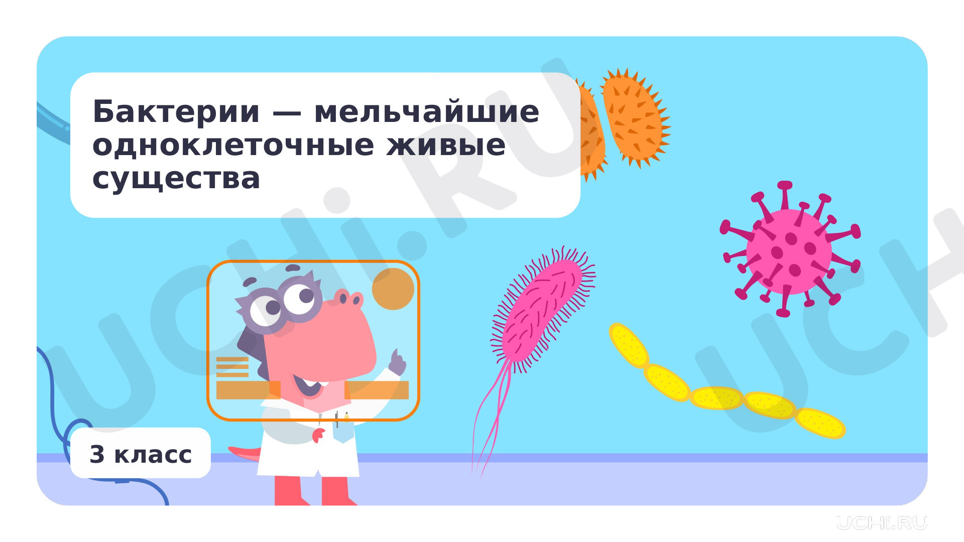 Предпросмотр материала Бактерии – мельчайшие одноклеточные живые существа
