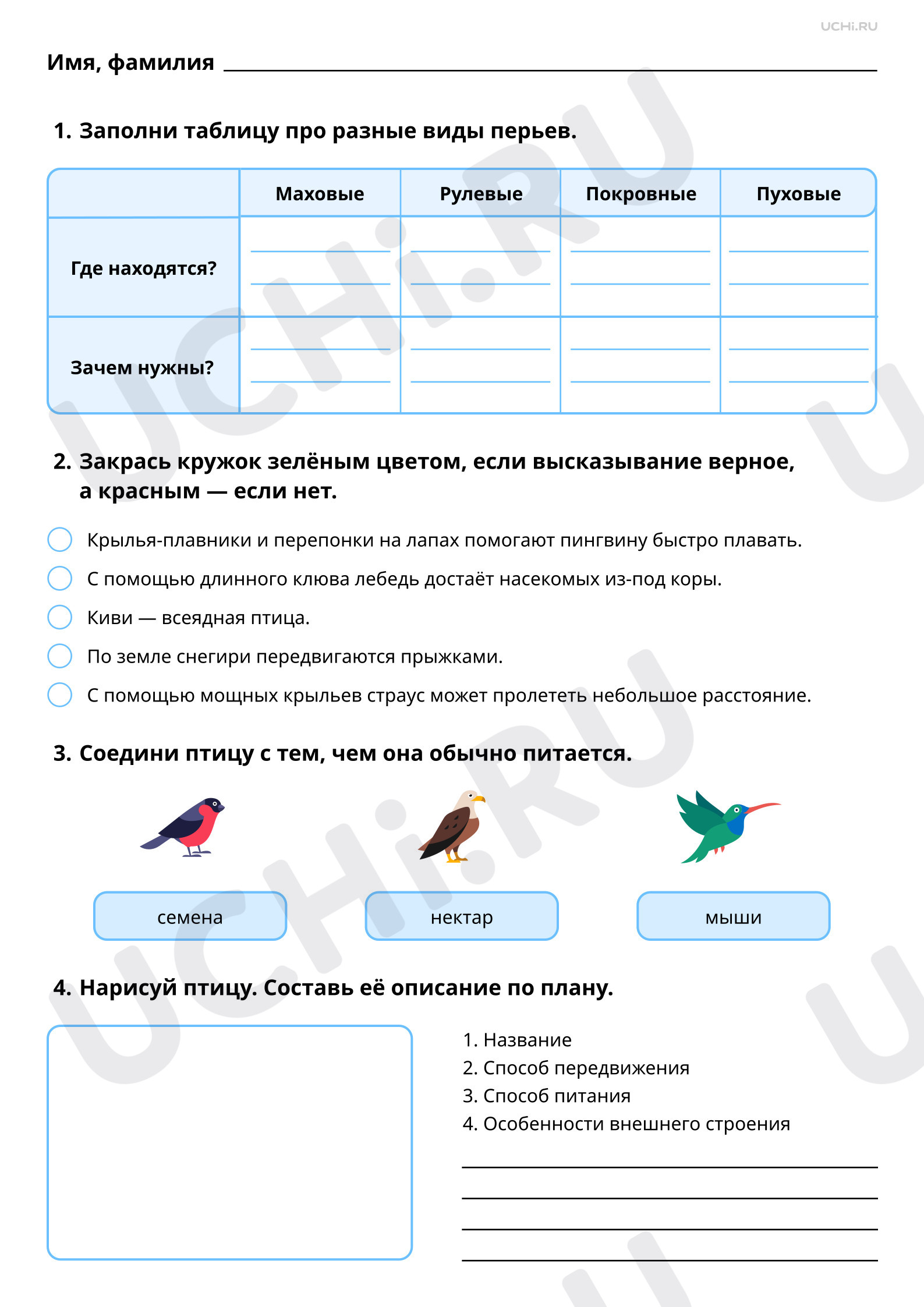 Предпросмотр материала Мир животных: птицы. Повышенный уровень