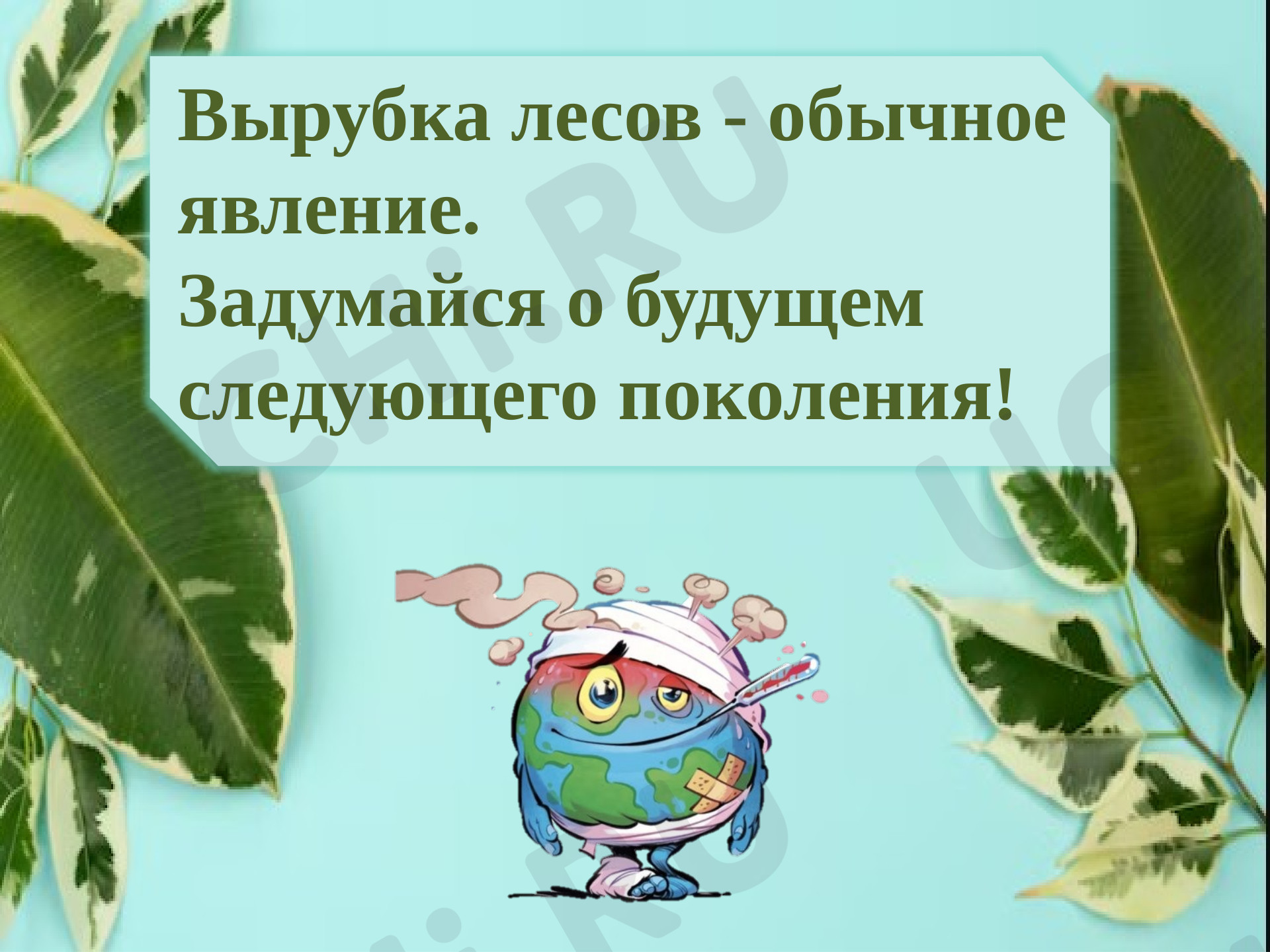 Предпросмотр материала Презентация к уроку окружающего мира. Охрана растений.