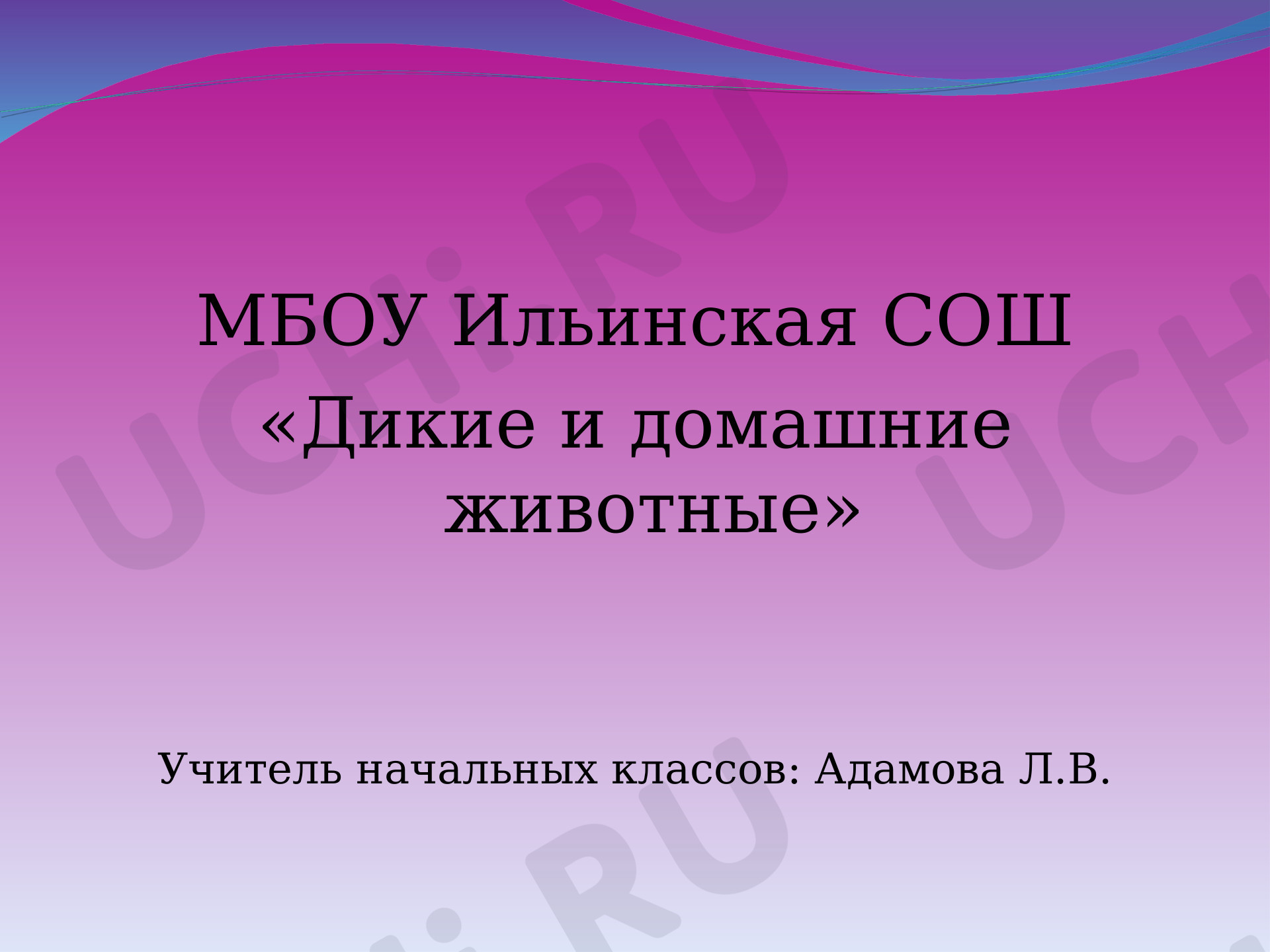 Предпросмотр материала Презентация к уроку окружающего мира по теме: "Дикие и домашние животные 1 класс"