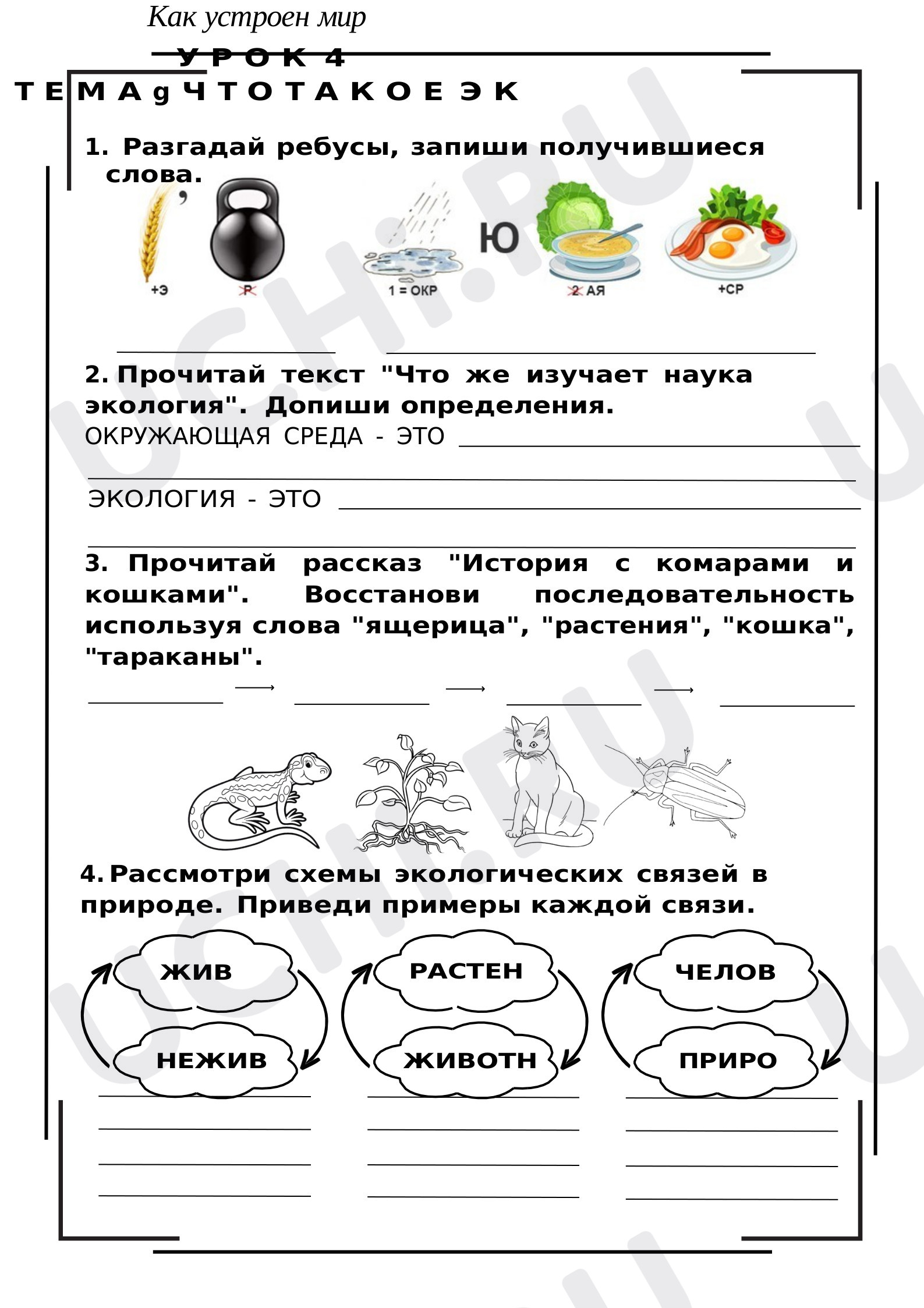 Предпросмотр материала Рабочий лист к уроку окружающего мира "Что такое экология"