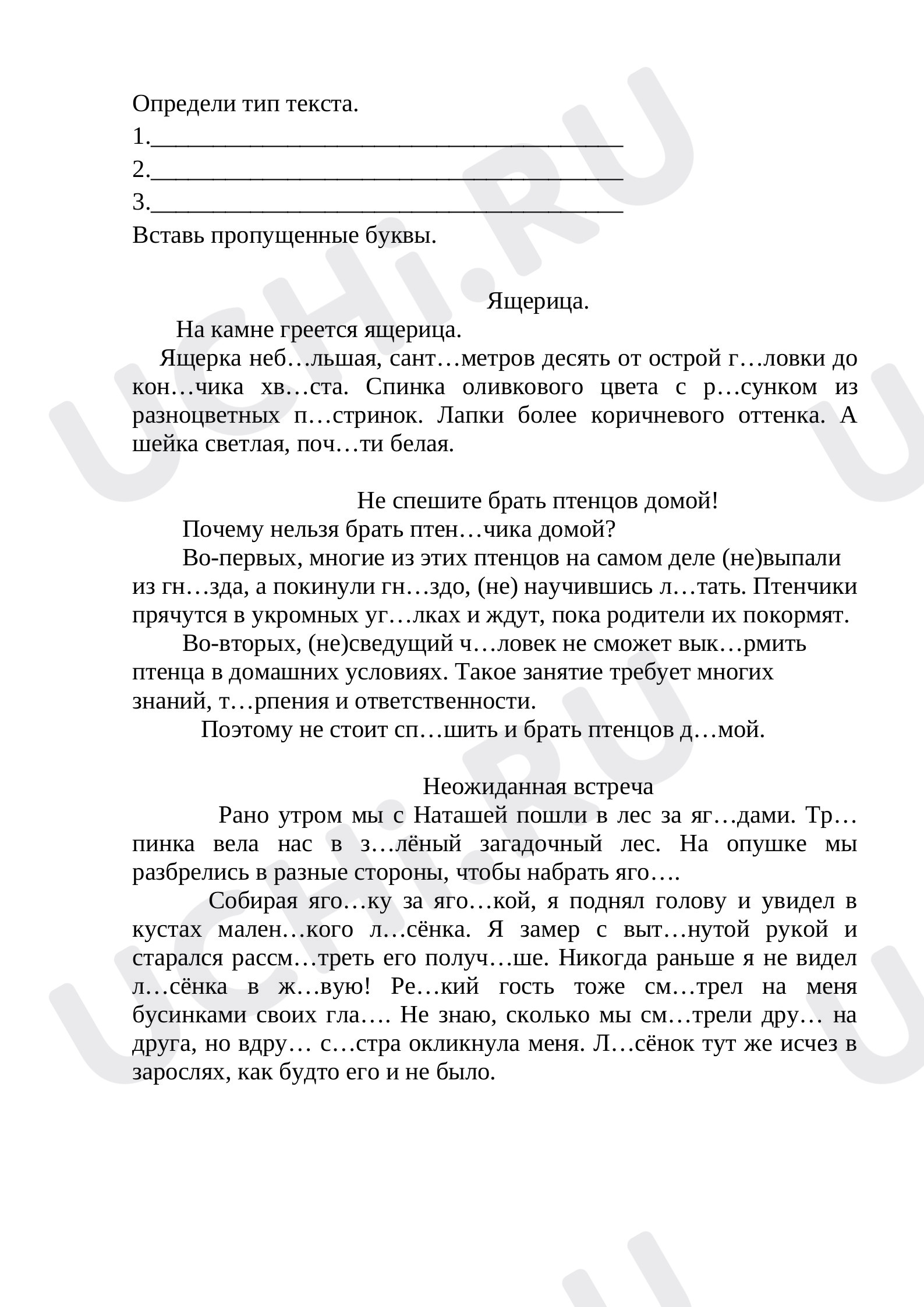 Предпросмотр материала Тип текста