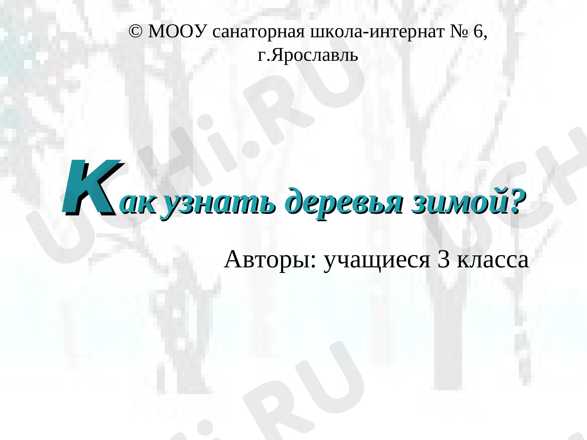 📈 Презентация №9 по теме “Как узнать деревья зимой” для 2 класса | Учи.ру