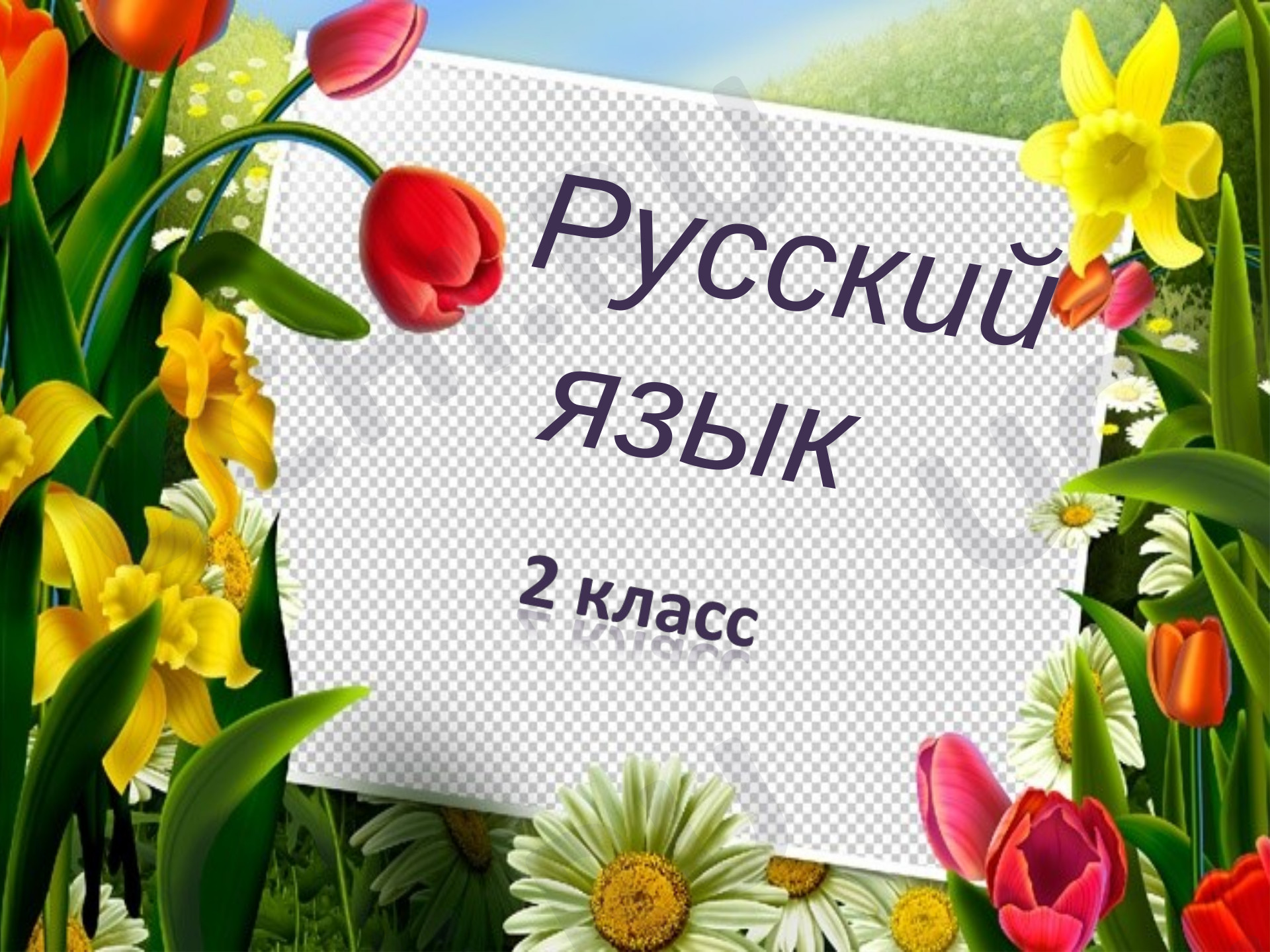 Предпросмотр материала Закрепление разделительного Ь