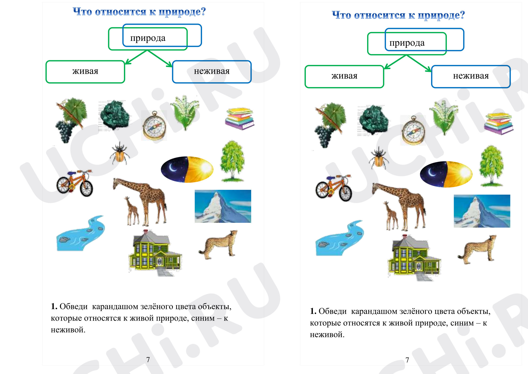Предпросмотр материала Рабочие листы к уроку окружающего мира. Что относится к природе