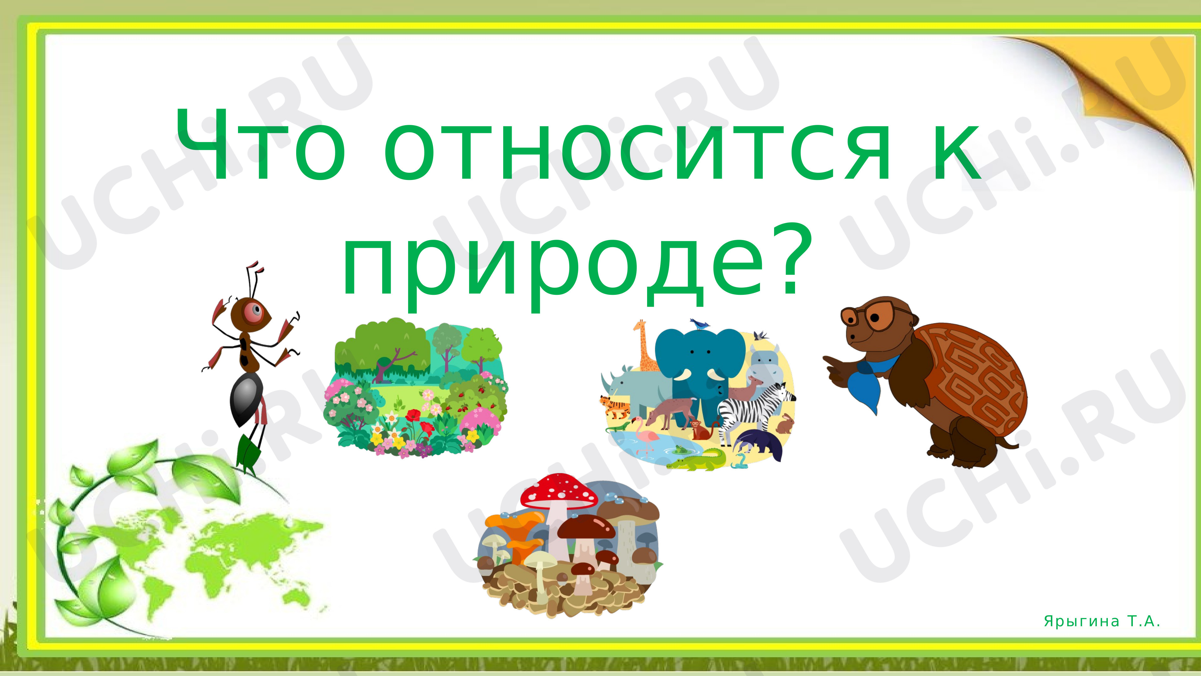 Предпросмотр материала Что относится к природе?