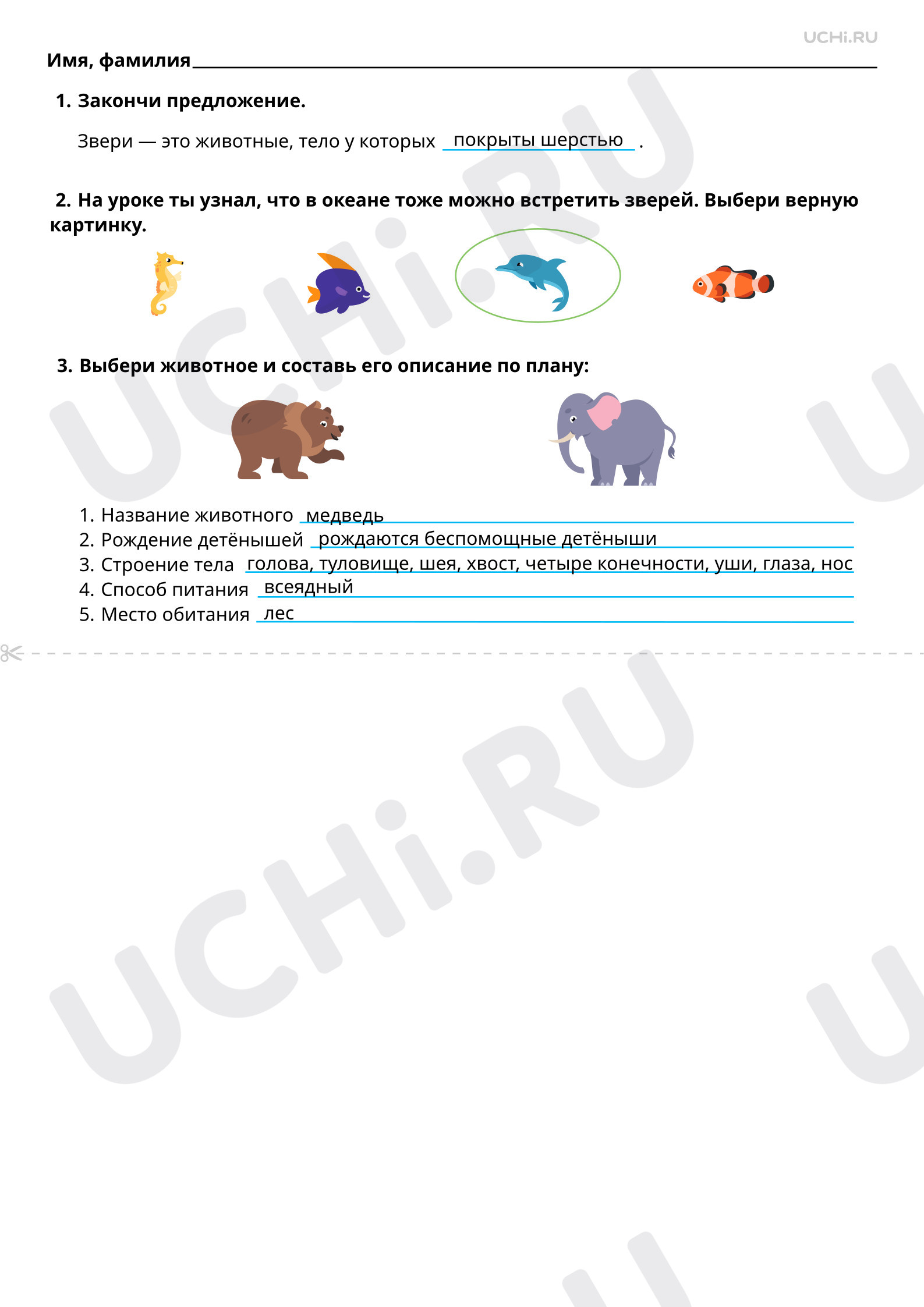 Ответы к рабочим листам по теме «Мир животных: звери (узнавание, называние,  сравнение, краткое описание)»: Мир животных: звери (узнавание, называние,  сравнение, краткое описание) | Учи.ру