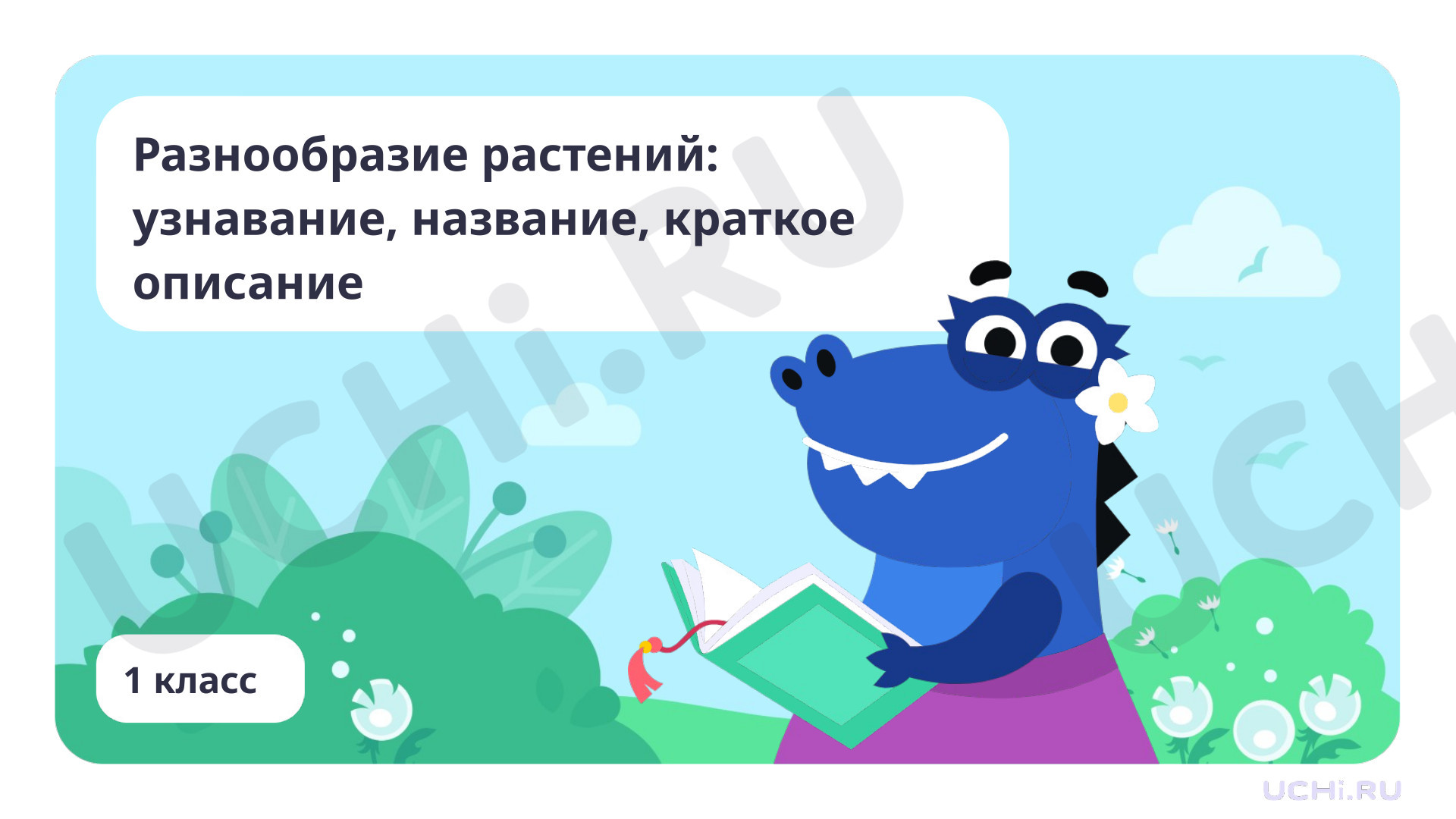 Предпросмотр материала Разнообразие растений: узнавание, называние, краткое описание