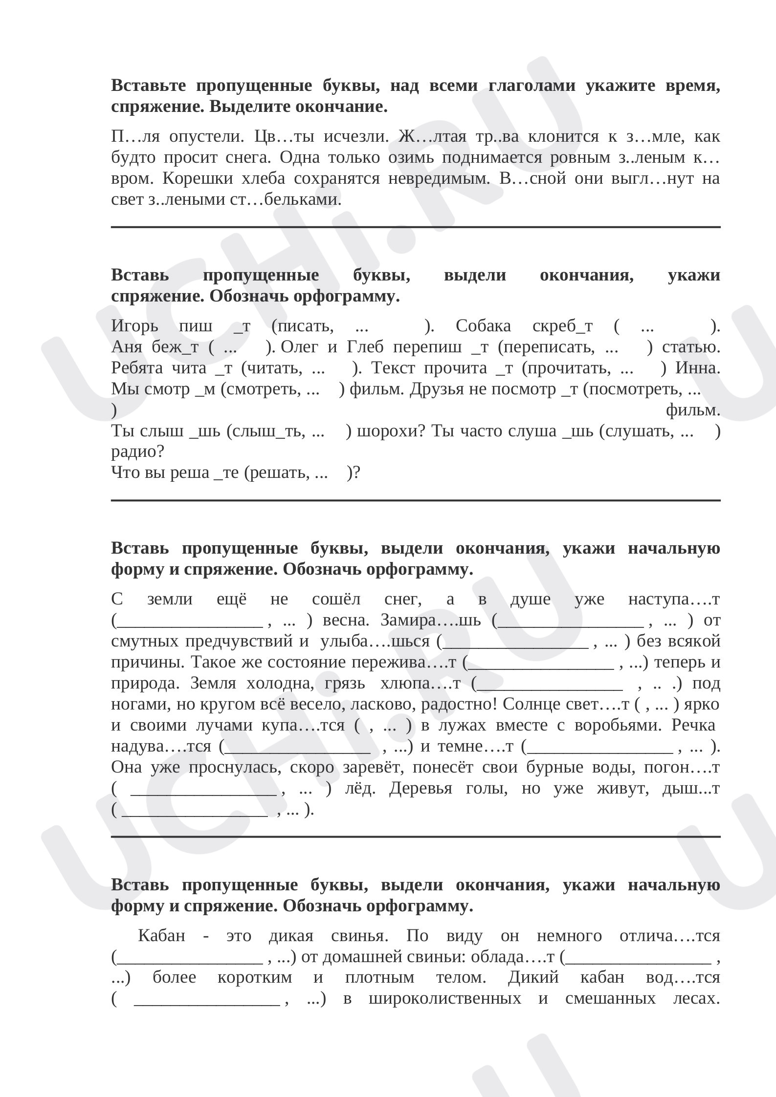 Русский язык, 4 класс, Проверочная работа по русскому языку. Спряжение глагола..docx
