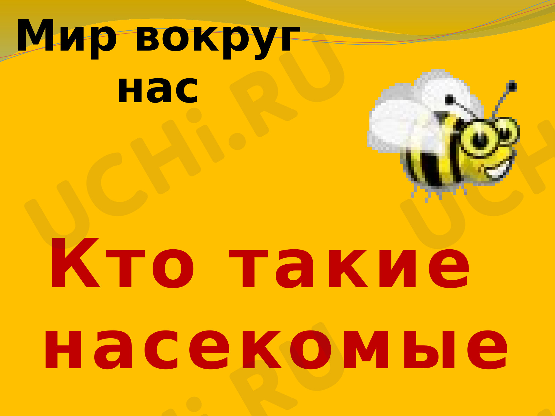 Предпросмотр материала Кто такие насекомые?