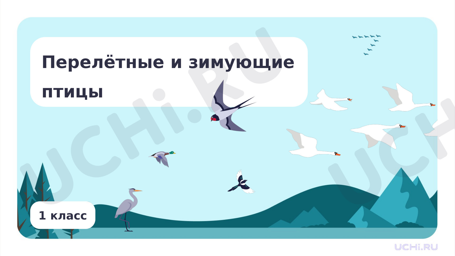 Предпросмотр материала Мир животных. Перелётные и зимующие птицы
