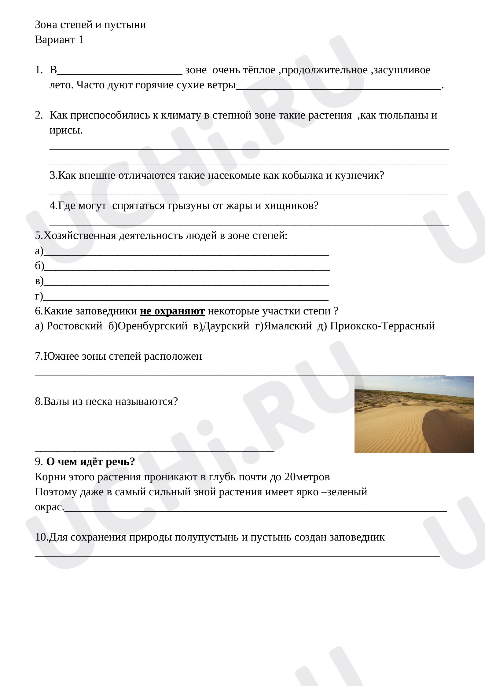Предпросмотр материала Самостоятельная работа к уроку окружающего мира по теме: Зона степей и пустыни