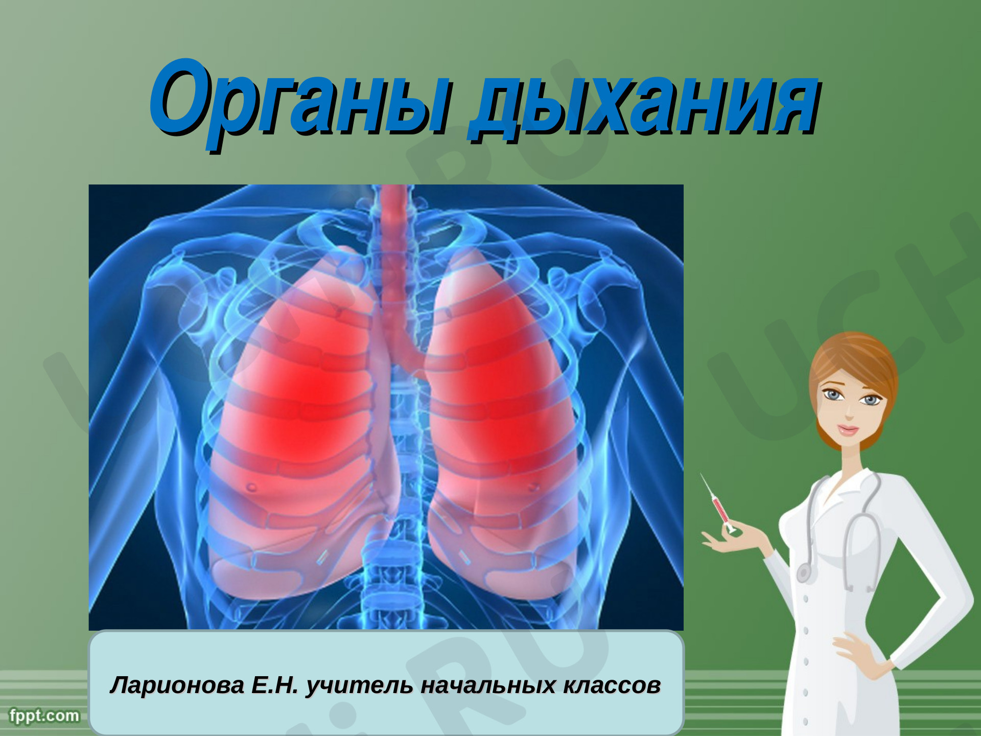 Предпросмотр материала Презентация по окружающему миру "Органы дыхания"