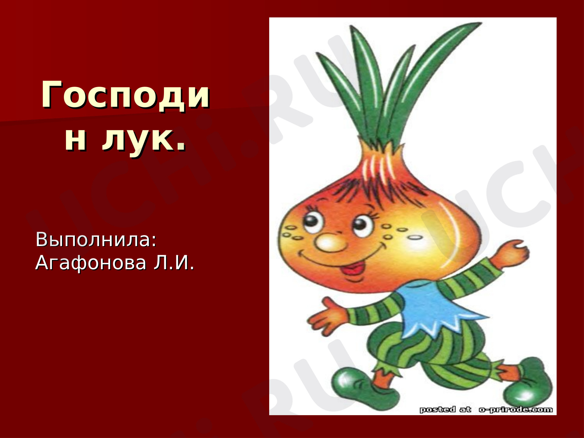 Предпросмотр материала Господин лук