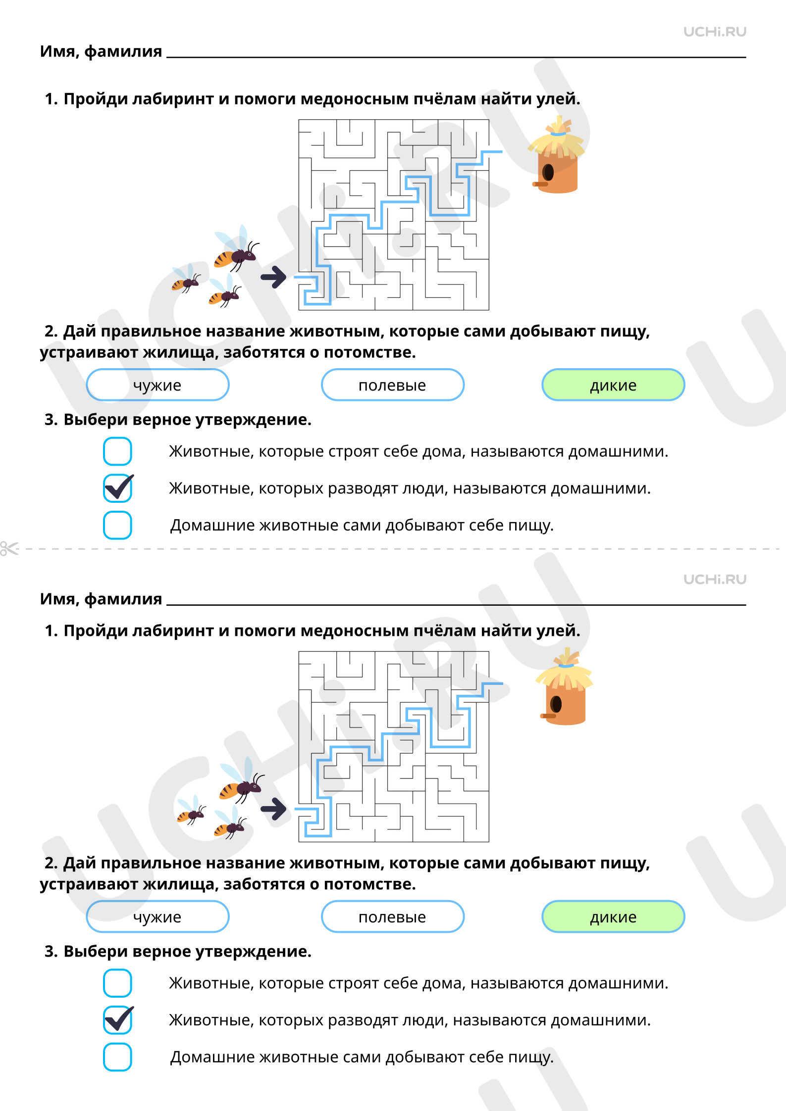 Рабочие листы по теме «Домашние и дикие животные. Различия в условиях  жизни». Базовый уровень: Домашние и дикие животные. Различия в условиях  жизни | Учи.ру