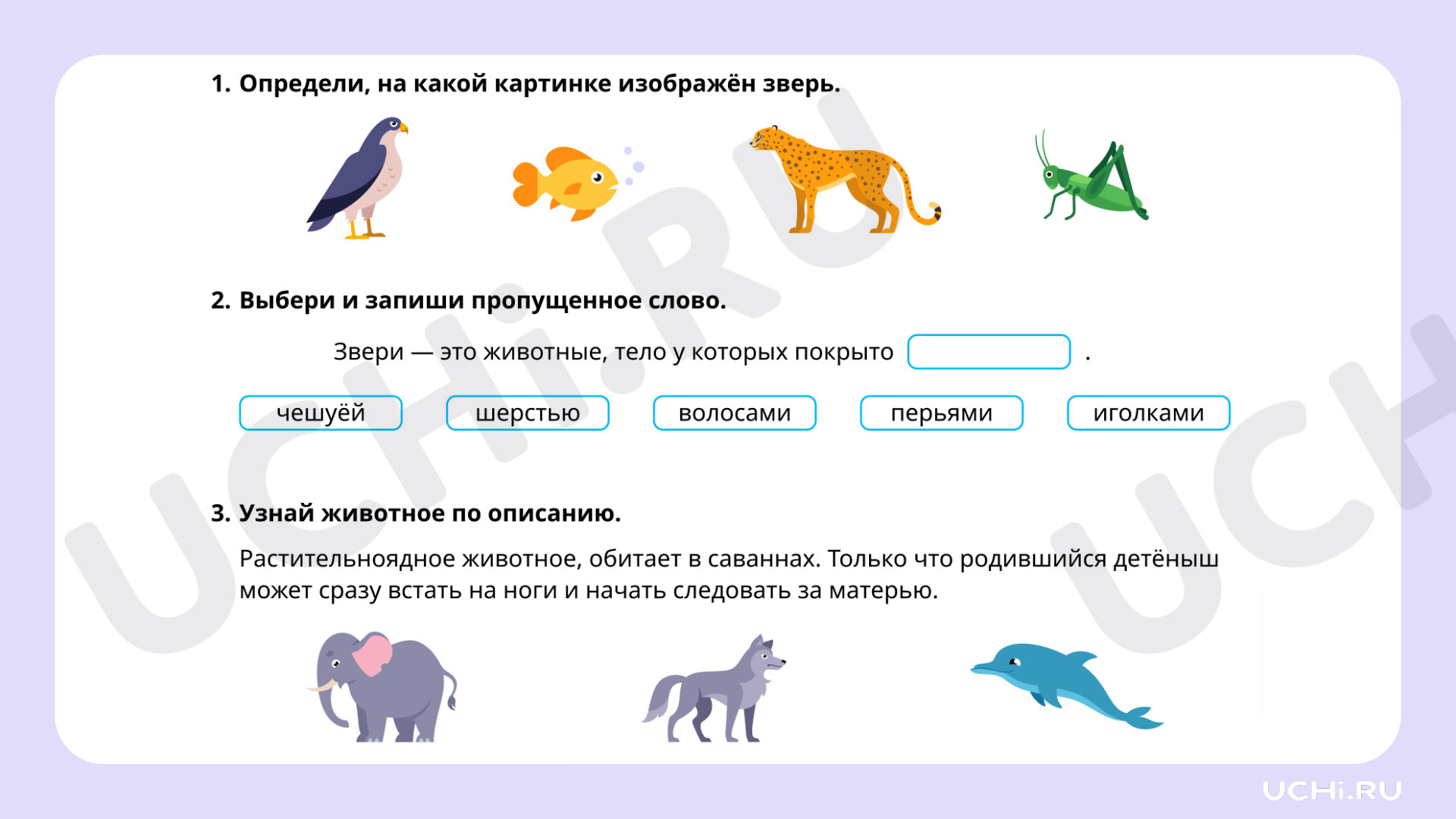 Мир животных: звери (узнавание, называние, сравнение, краткое описание):  Мир животных: звери (узнавание, называние, сравнение, краткое описание) |  Учи.ру