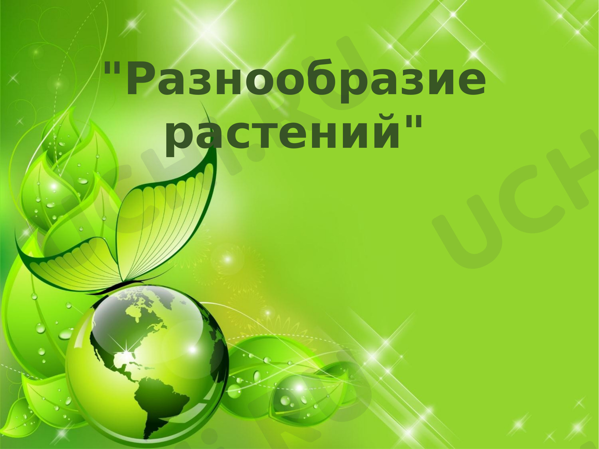 Предпросмотр материала Разнообразие растений