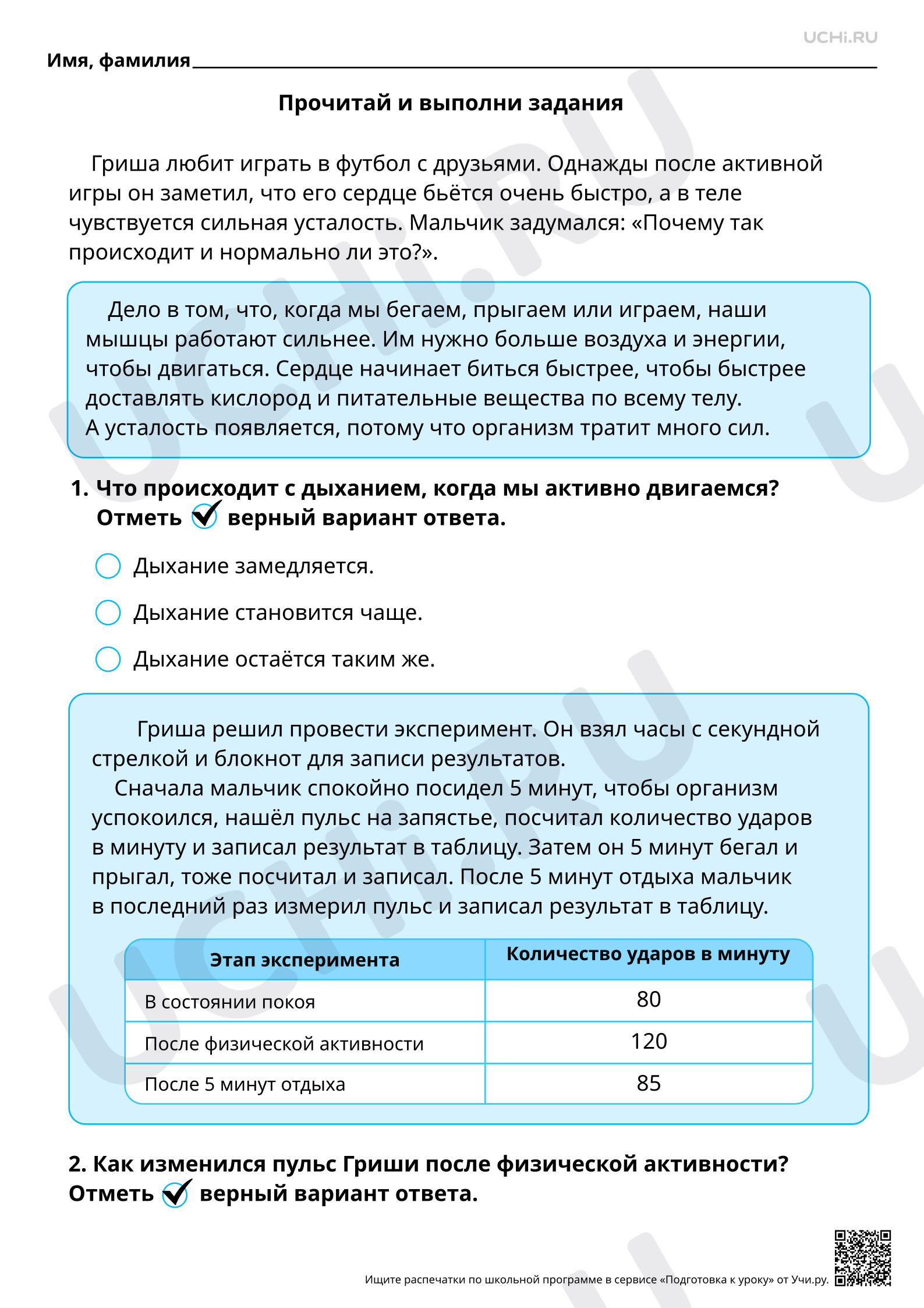 Предпросмотр материала Естественно-научная грамотность. Проводим эксперимент с пульсом.