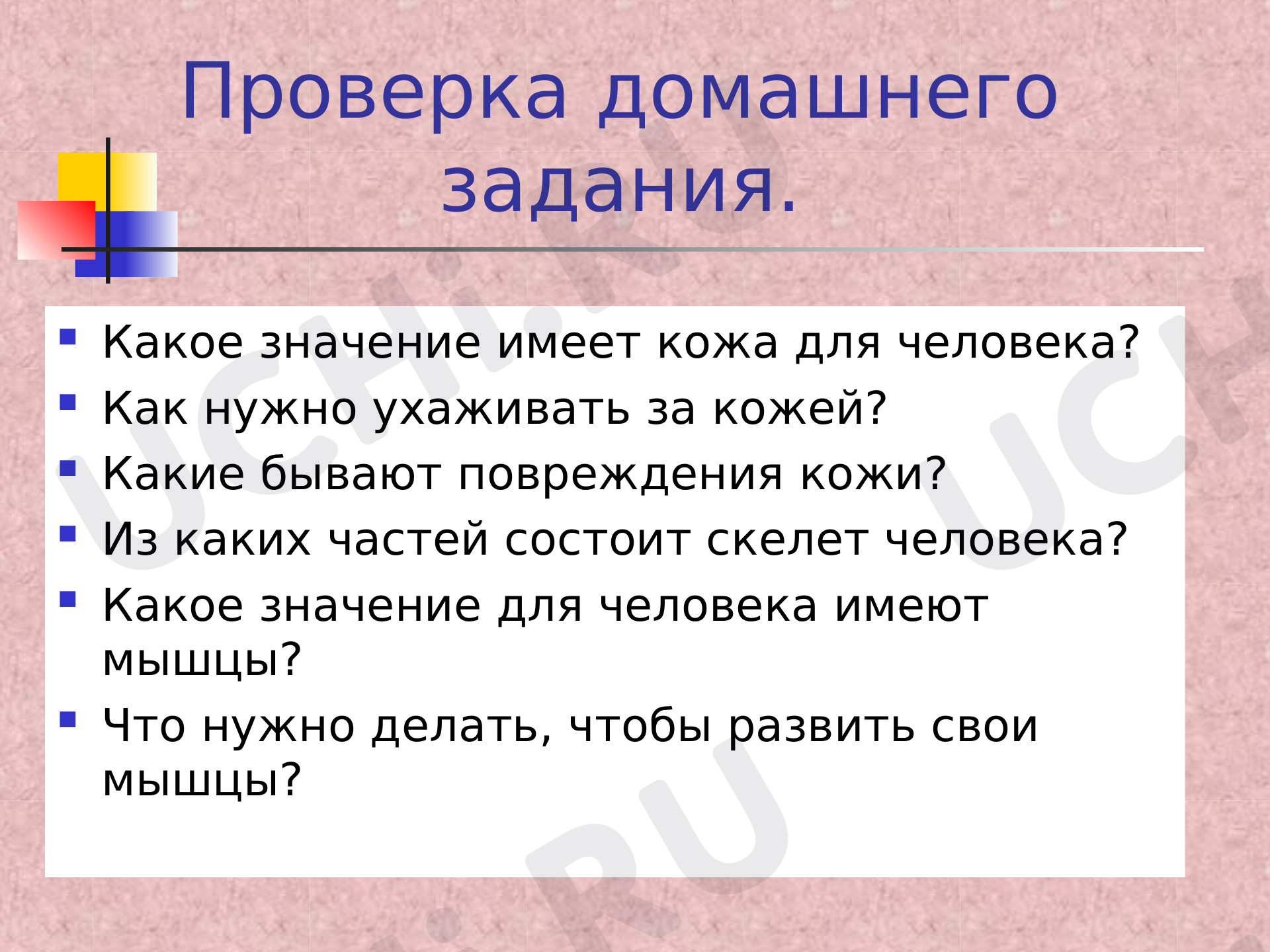 Предпросмотр материала Презентация по окружающему миру на тему Наше питание. Цель: формирование первоначального представления о питании и пищеварительной системе человека.