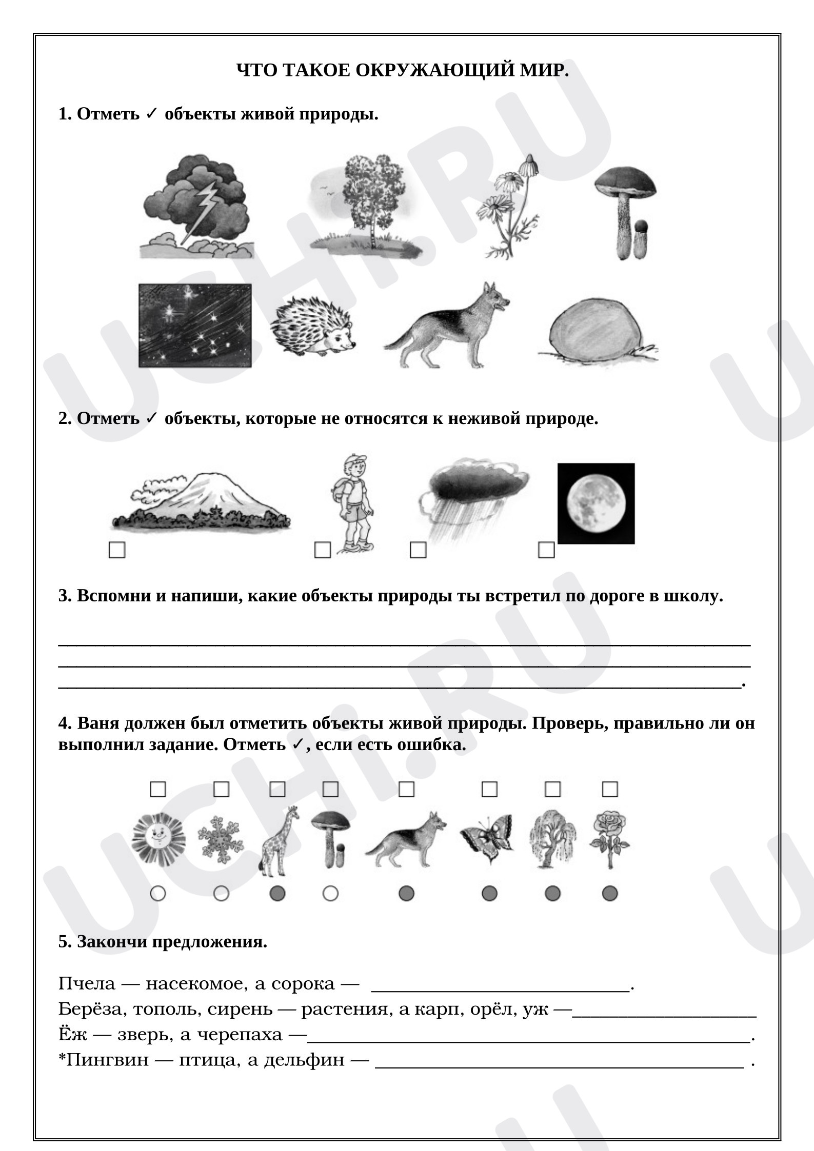 Предпросмотр материала Рабочие листы к уроку окружающего мира. Что такое окружающий мир.