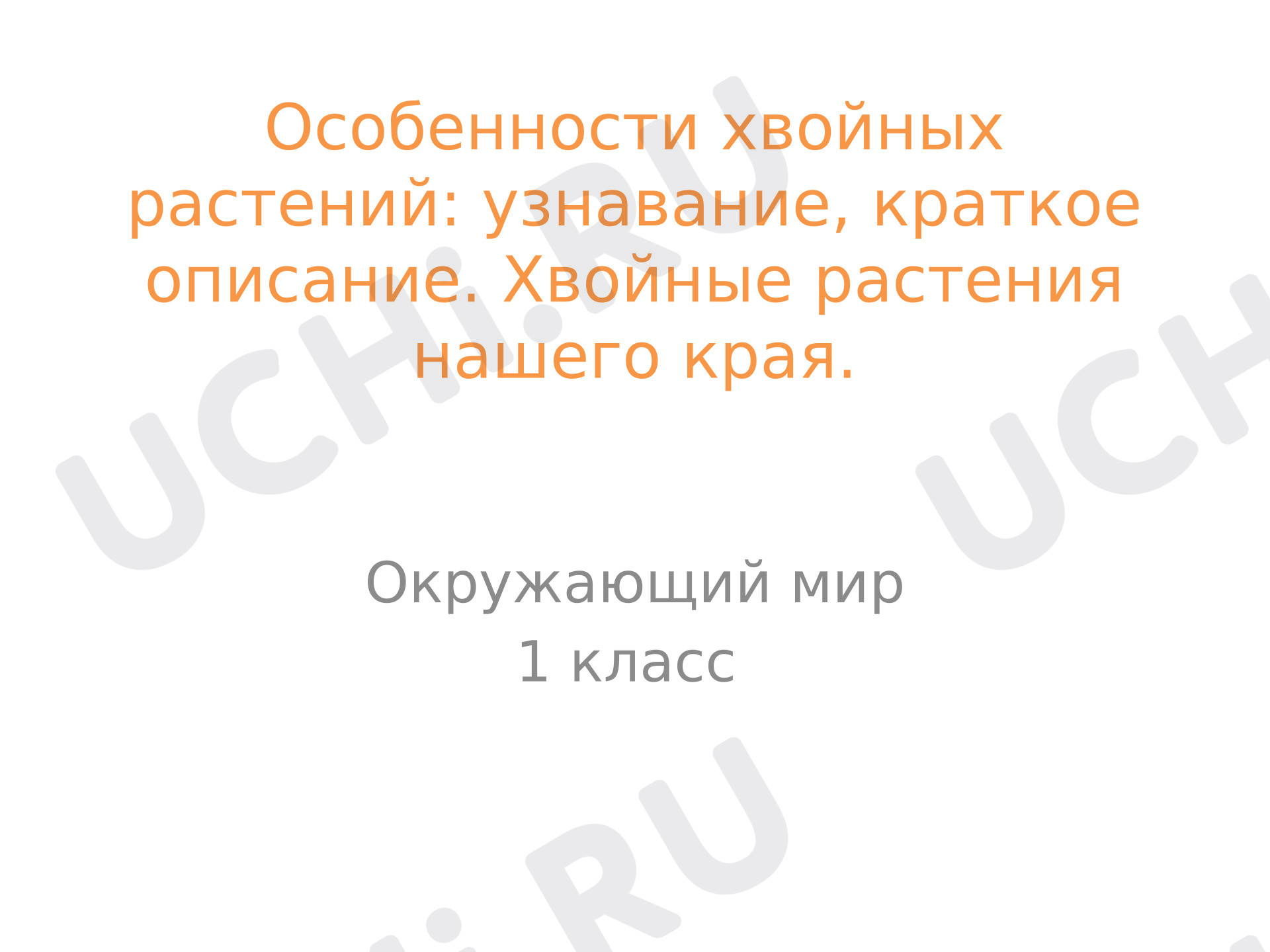 Предпросмотр материала Презентация к уроку окружающего мира по теме Особенности хвойных растений узнавание, краткое описание. Хвойные растения нашего края. 1 класс (УМК Школа России)